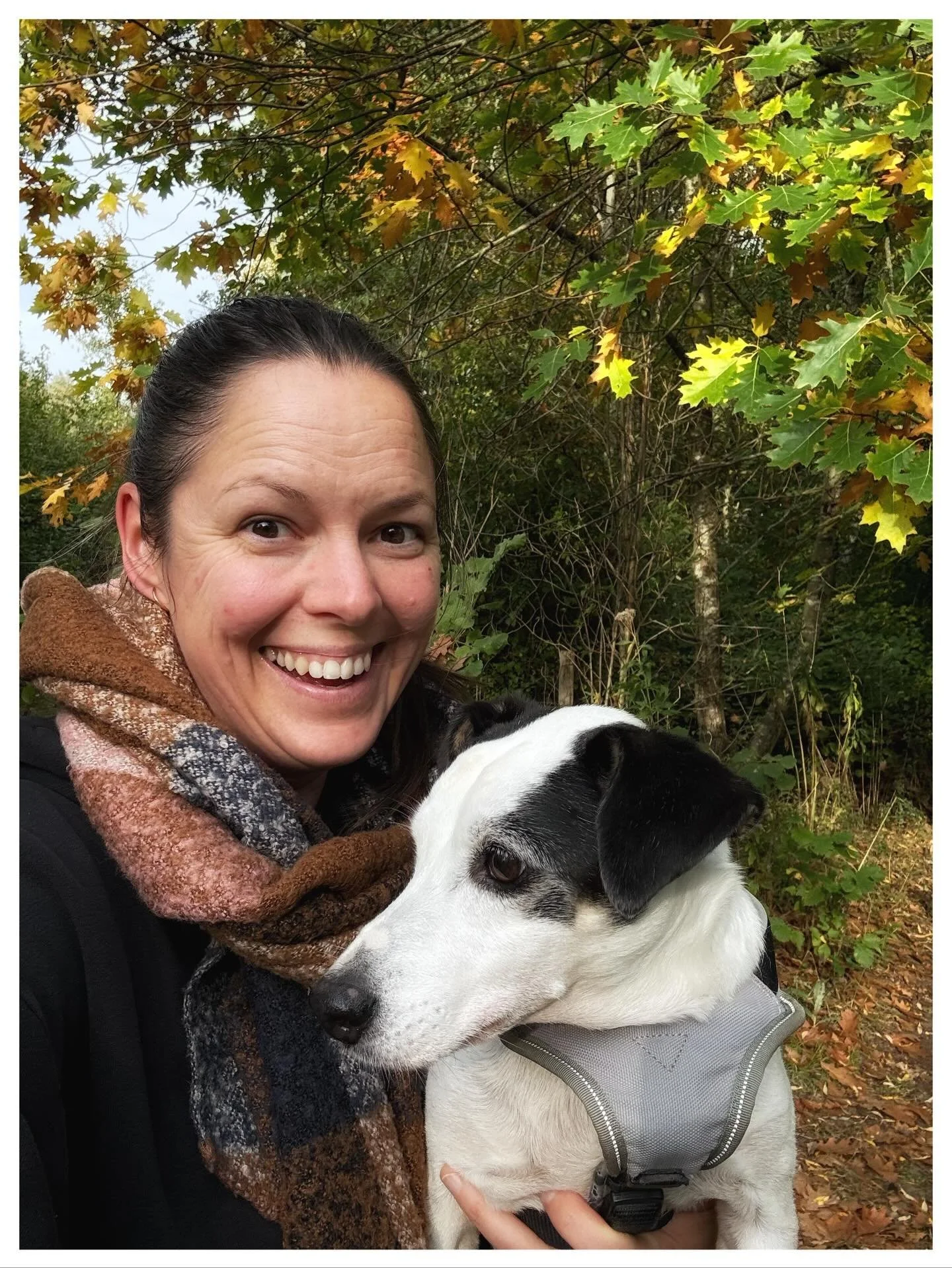 Kippenvel bekroop me van arm tot been tijdens dat korte intense moment van onze middag wandeling. 

Het lichtbruine paard in de weide met de mooie bomen liet me vertragen. Vaak wandel ik haar voorbij en zeg ik luidop &ldquo;goeiedag&rdquo;. Meestal g