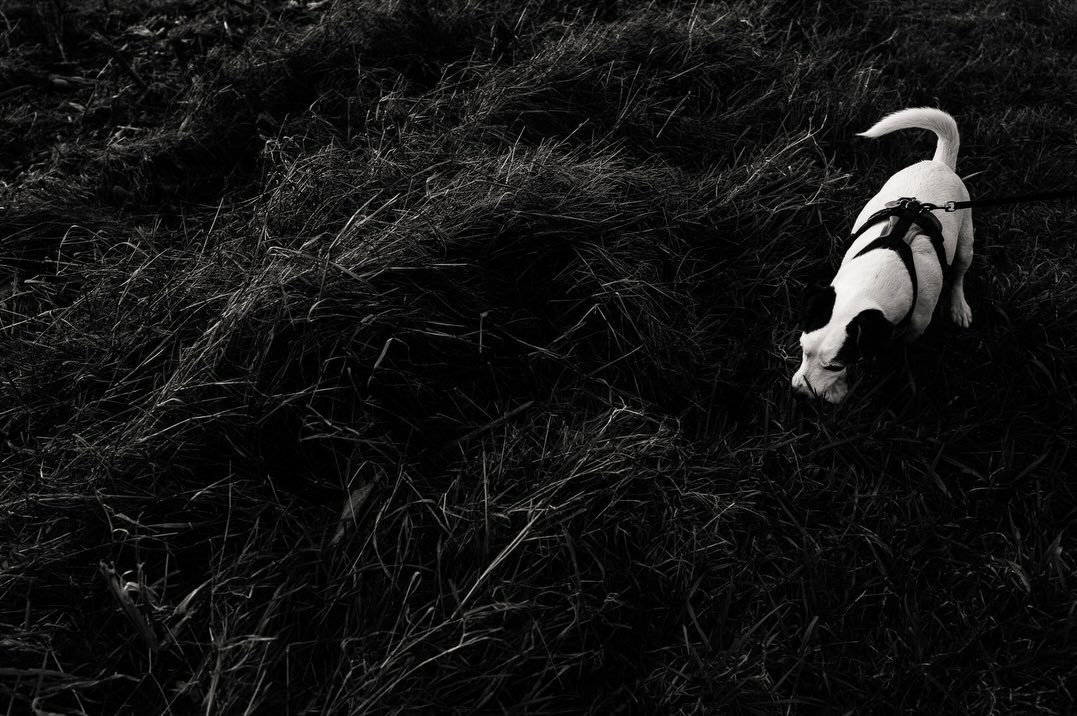 Shoot what it feels like
Try and error
Look and see
Hold on

Leica Test Love &hearts;️