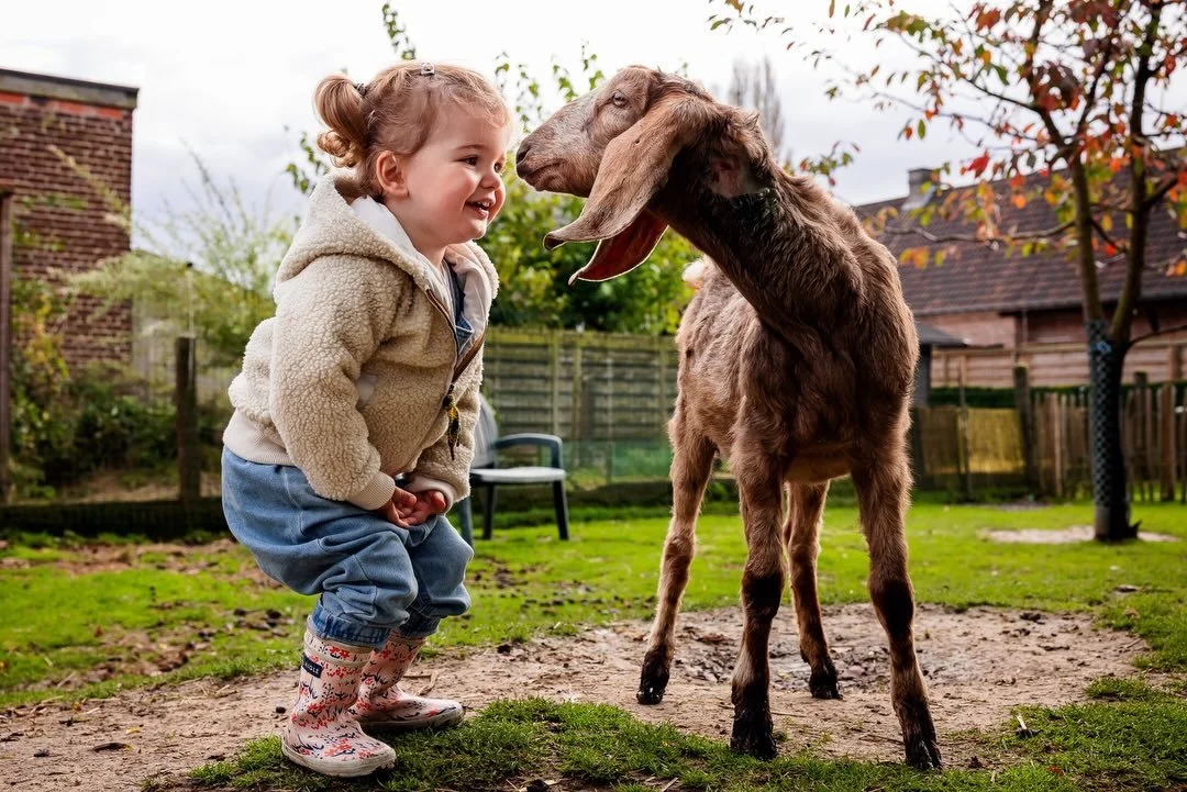 Wat heeft jouw voorkeur?

Een familie reportage waar ze samen dingen beleven zonder dat jij iets moet zeggen - reageer met BELEEF

OF

Een familieshoot waar je moet zeggen wat ze moeten doen - reageer met POSEER

Als je reageert hieronder zal ik je i