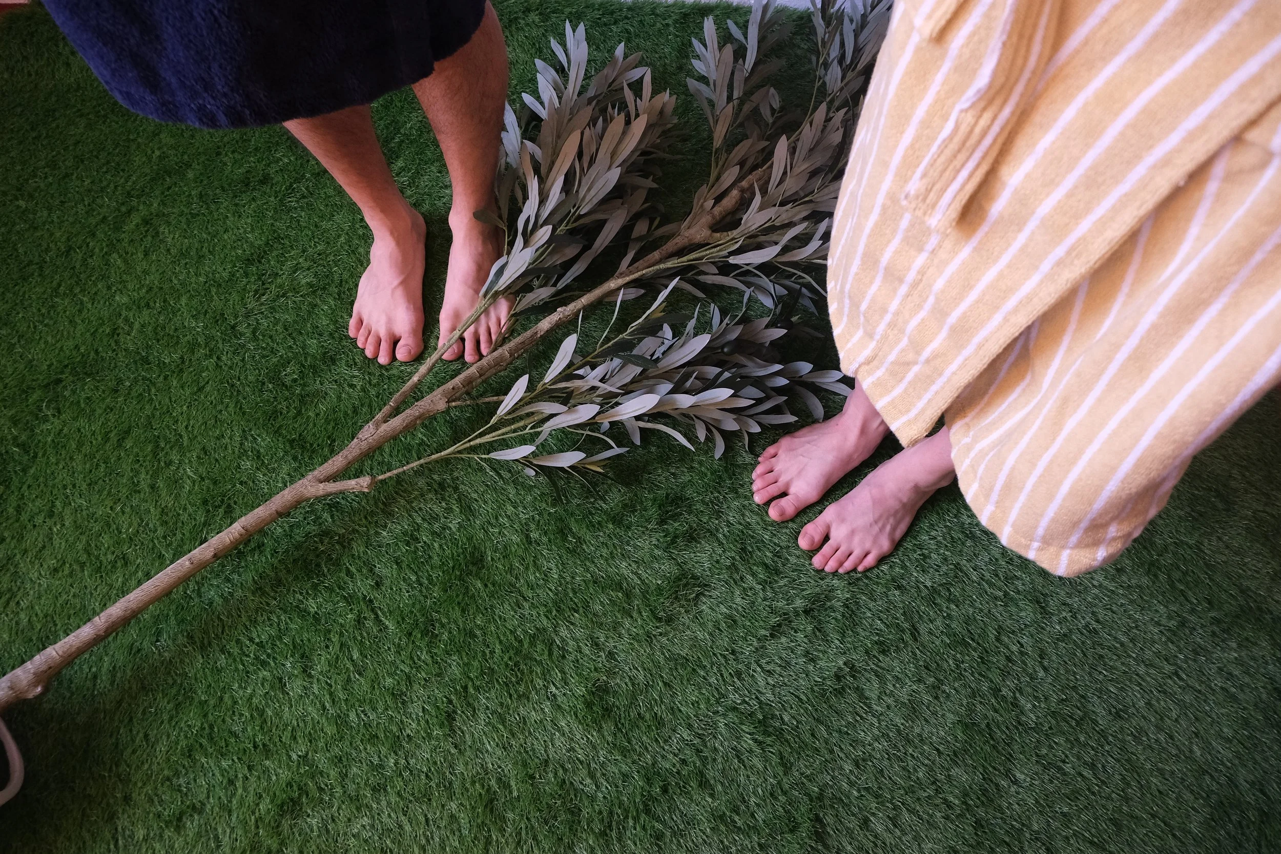 People standing barefoot on green artificial turf, holding a long branch with leaves.