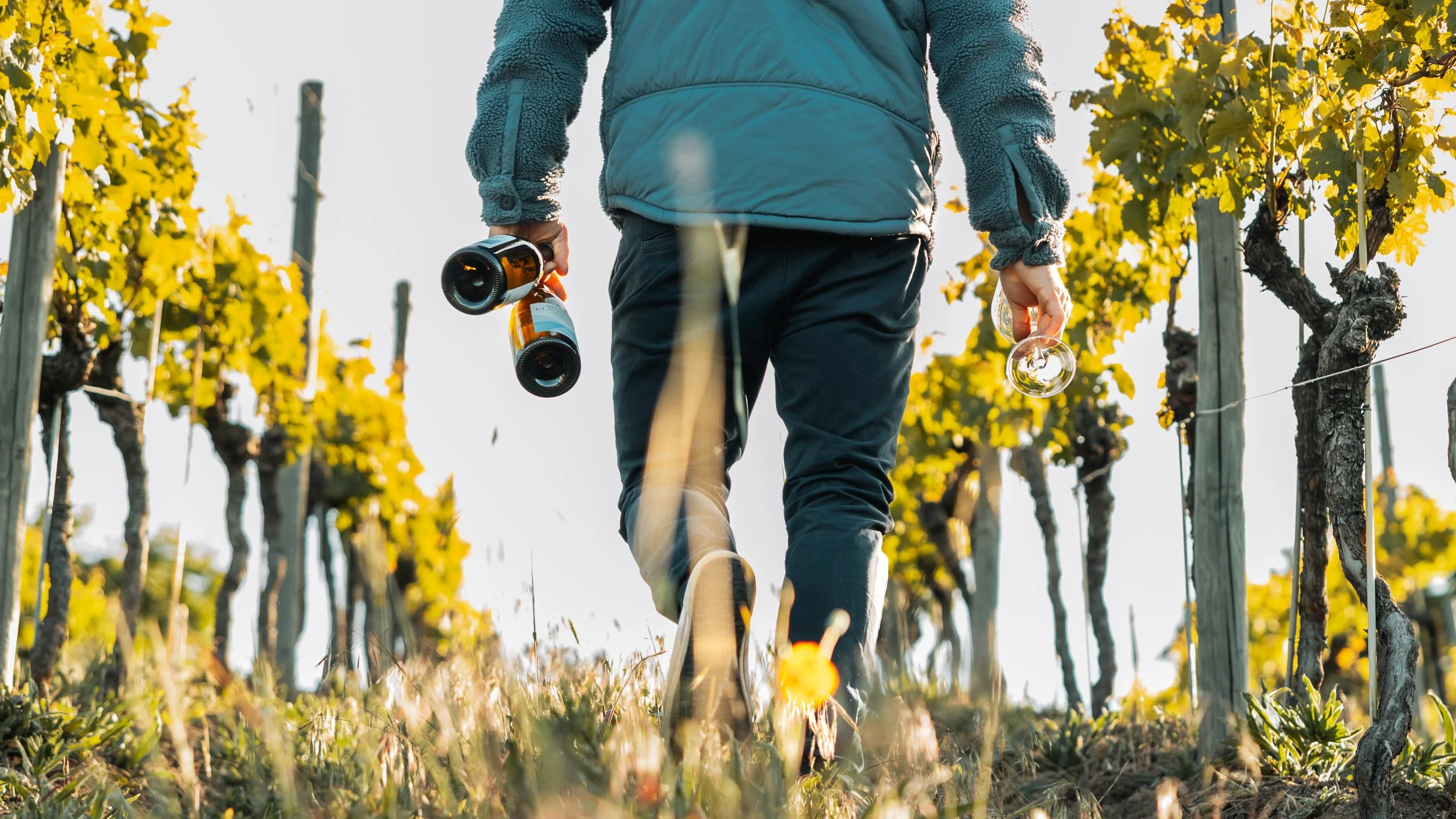 2025.05.24 - Matthias Portrait Weingut Schuh©pctrbrln.com-6.jpg