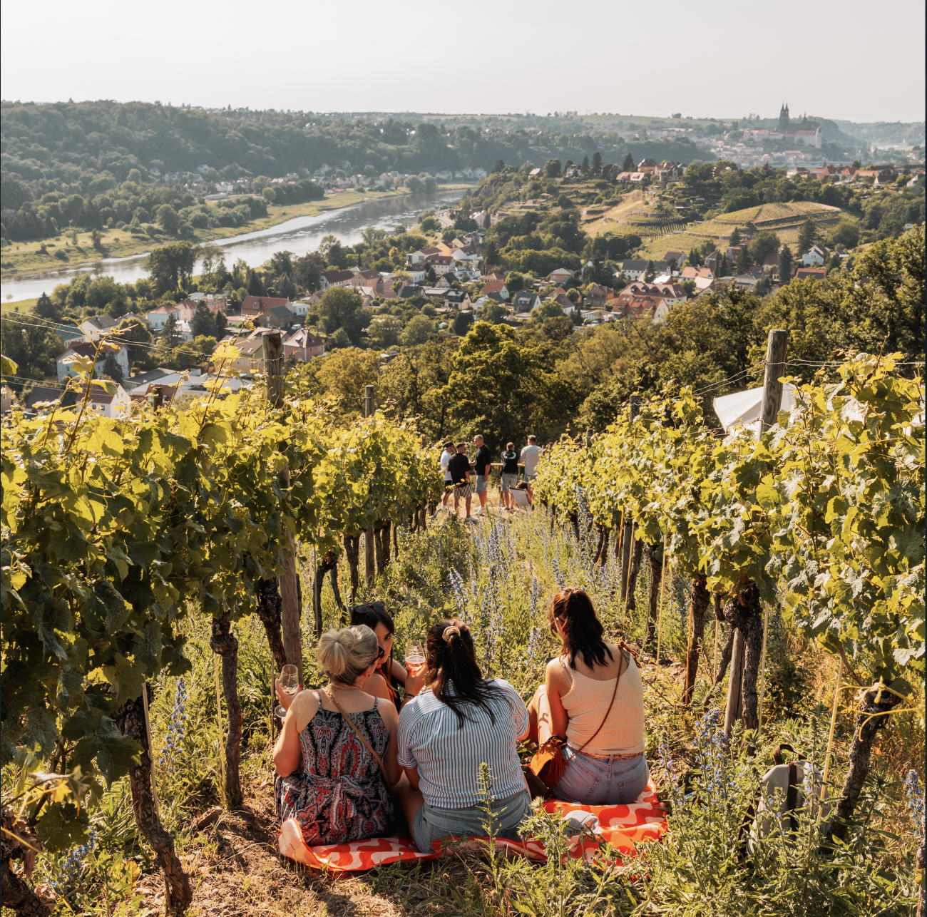 2025.06.14 - Vino Techno_Part II_final©pctrbrln.com-75.png