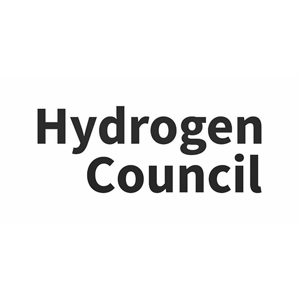 Text reading 'Hydrogen Council' in bold black font on a white background.