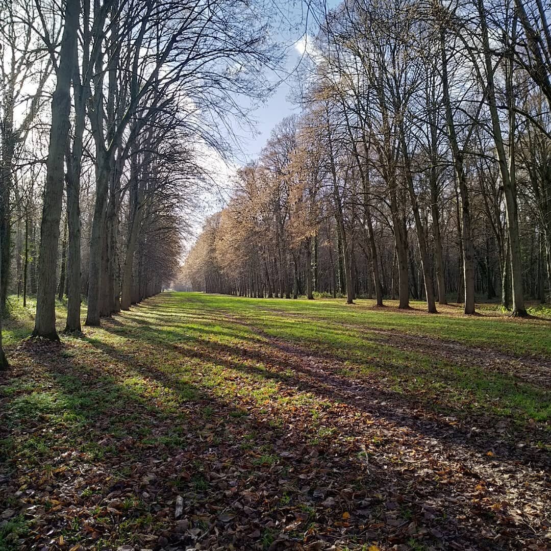 Soyez Espoir. Meilleures v&oelig;ux
Siate Speranza. Buon anno nuovo.