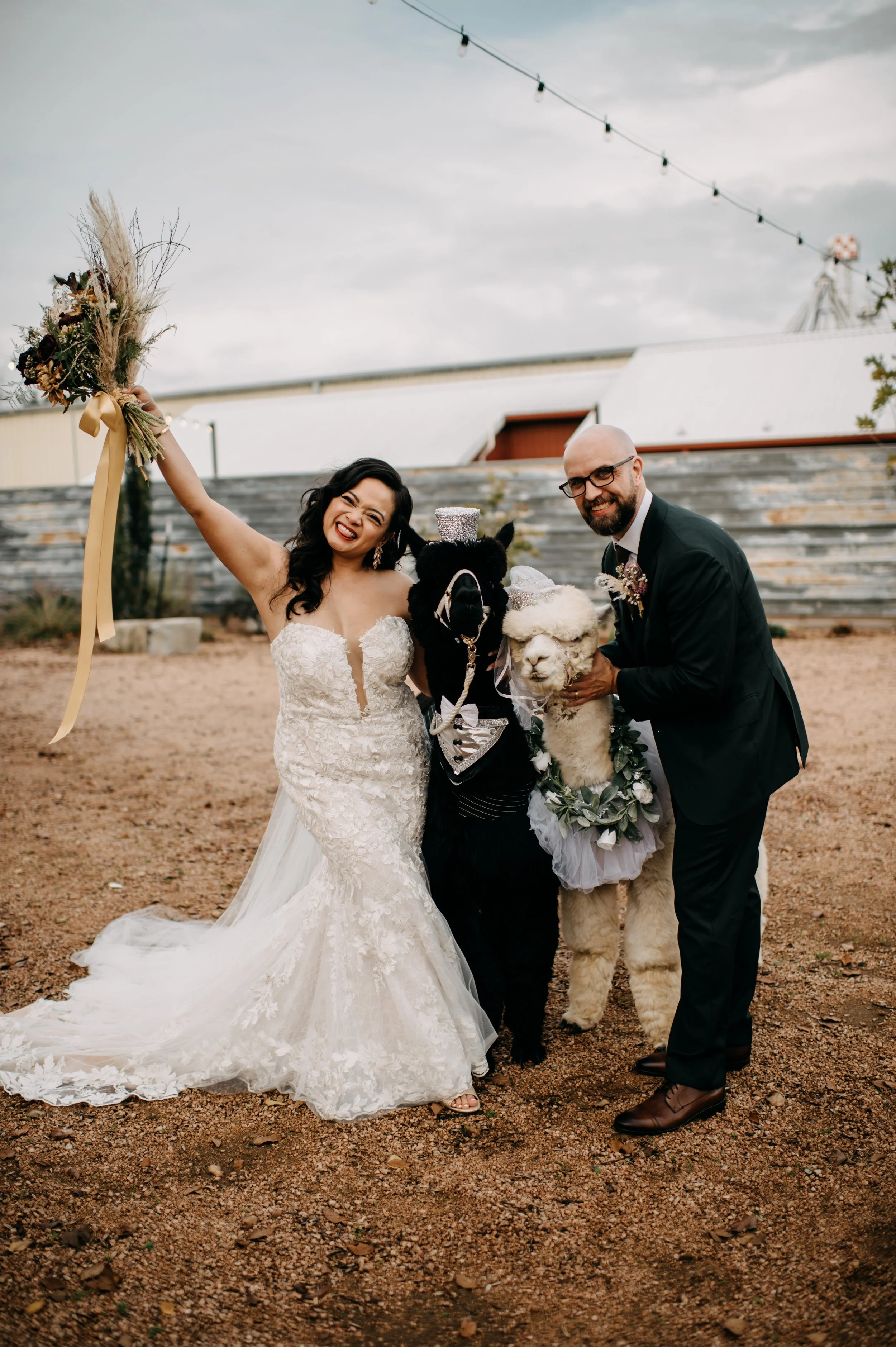 Kisha & Jared celebrate with Raving Flamingo Flowers and the sweetest alpacas at the Ice Plant Building