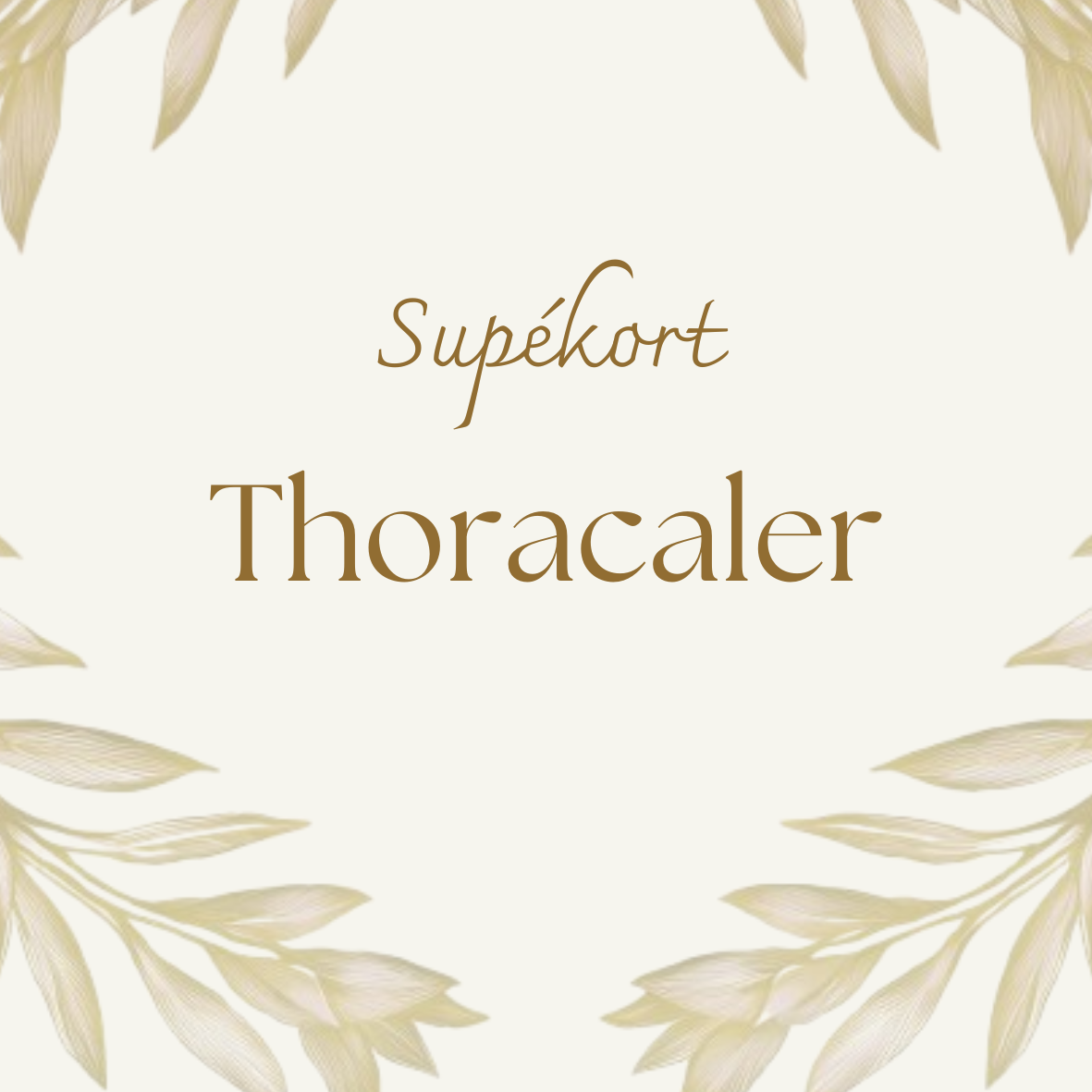 Supékort, thoracaler.png