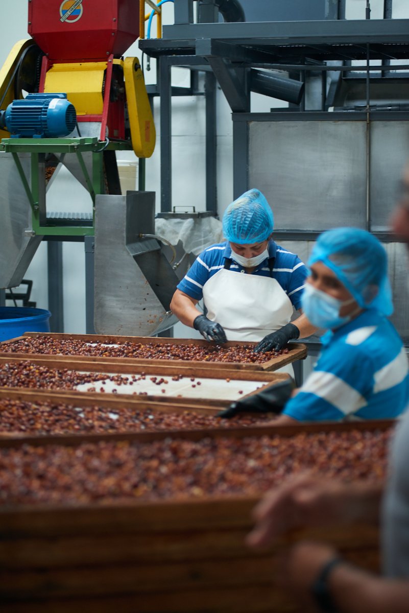 Cafe_Imports_Cascara-6.jpg