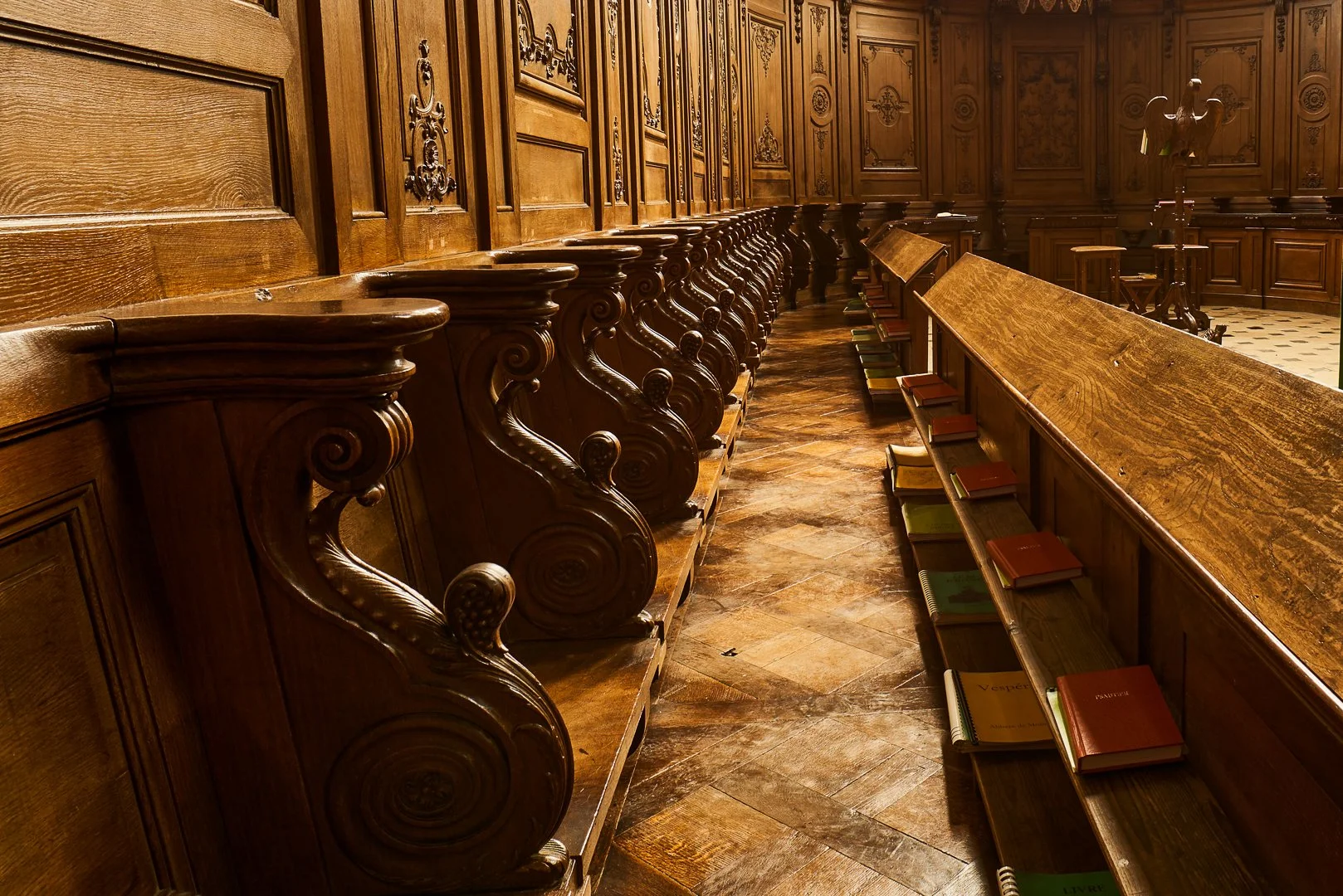 20210127_162949_LivreInterieurAbbayeMondayeJSN_3049 1_1080.jpg