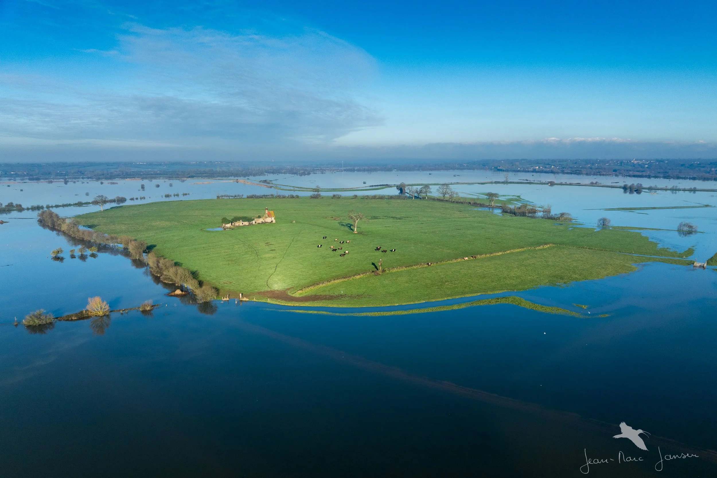20250111_110336_MaraisDuCotentin_janvier2025_DJI_0916_4K.jpg