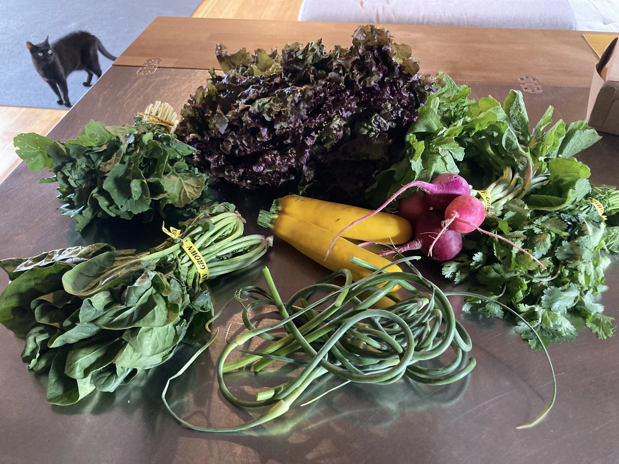 CSA Newark_smallest share_Week 02.JPEG