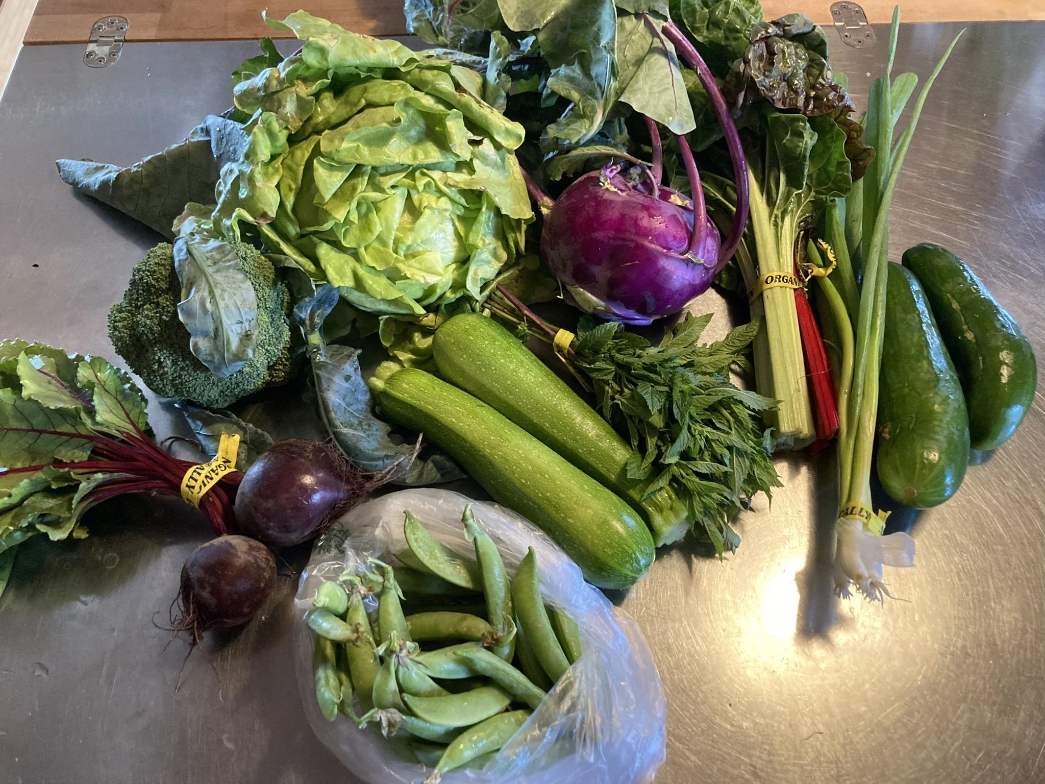 CSA Newark_smallest share_Week 05.JPEG