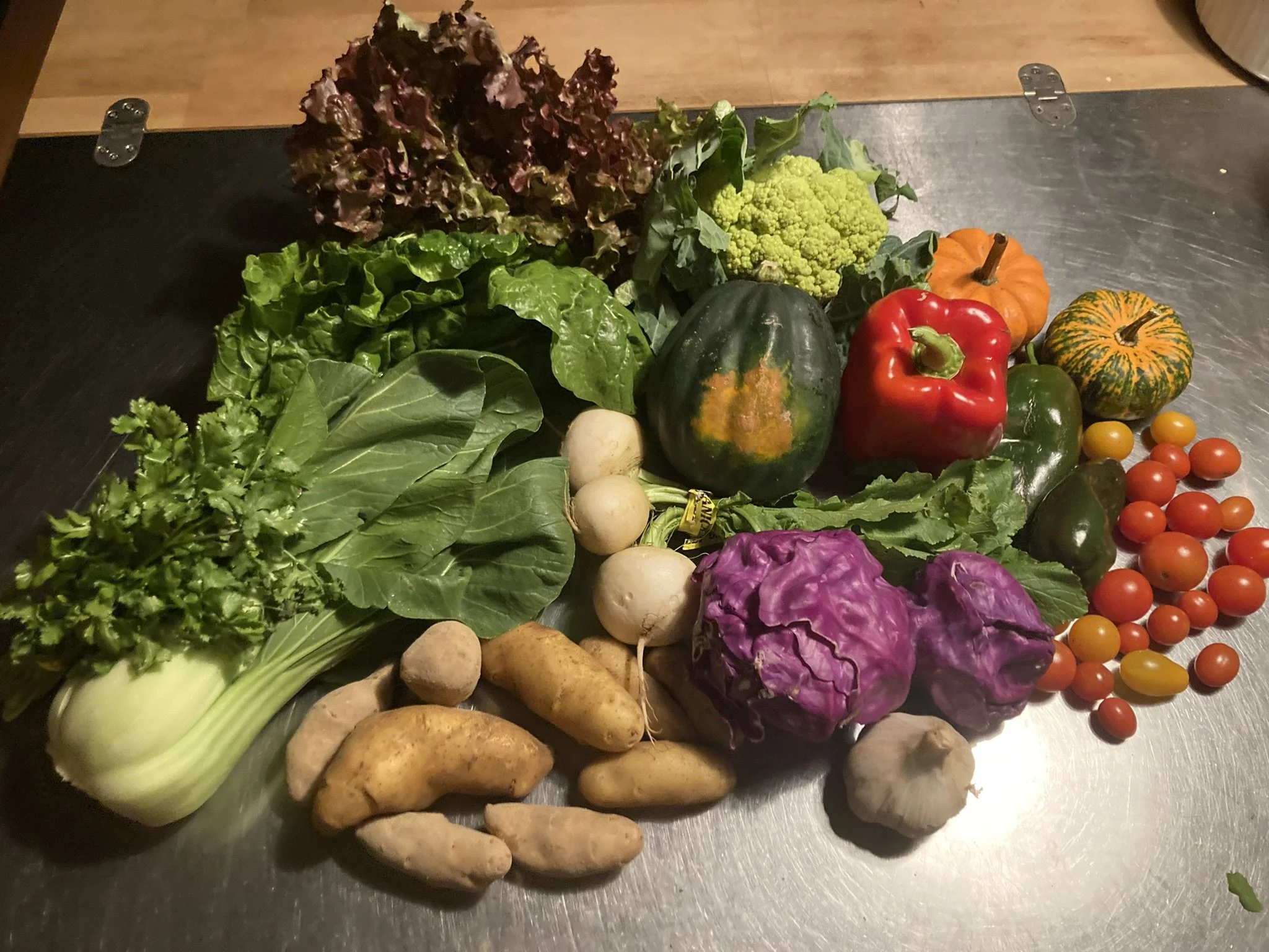 CSA Newark_smallest share_Week 19.JPEG