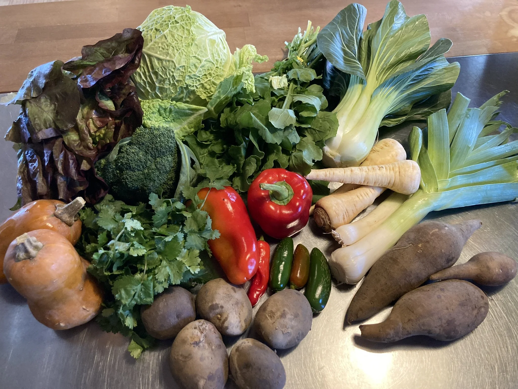 CSA Newark_smallest share_Week 21.JPEG