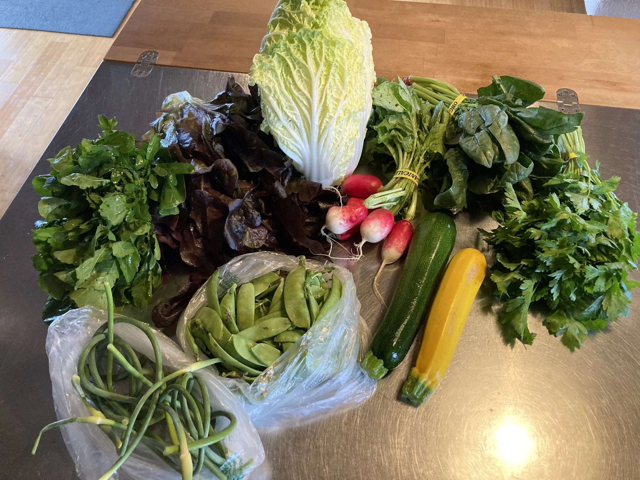 CSA Newark_smallest share_Week 04.JPEG