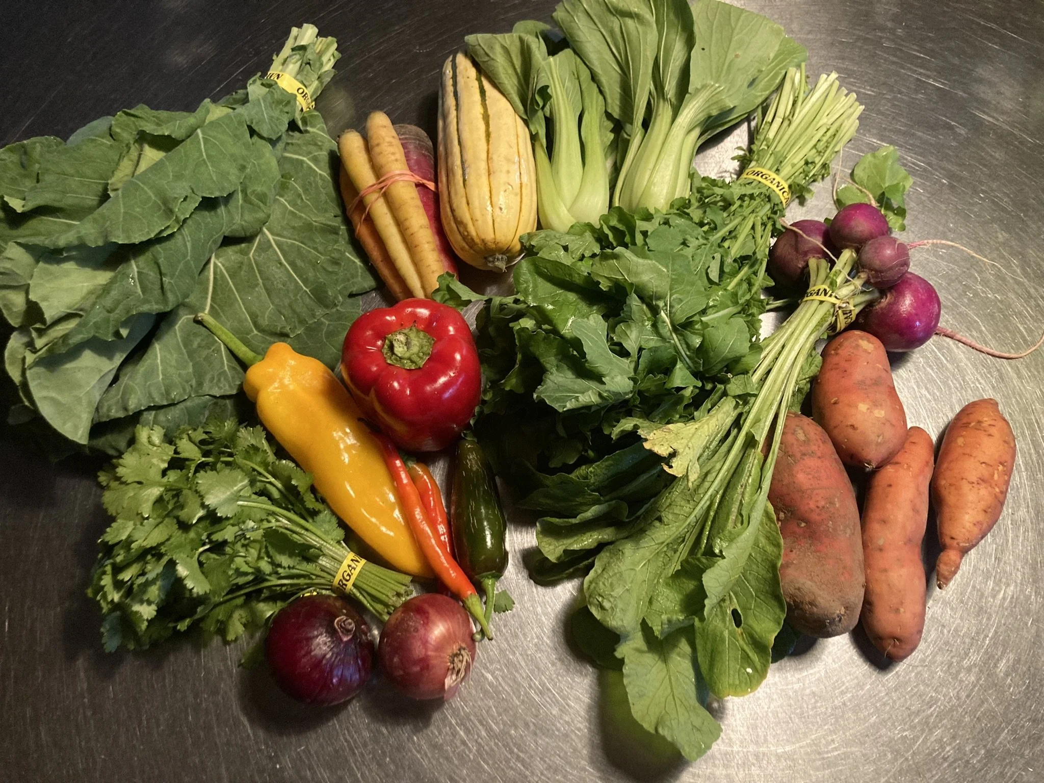 CSA Newark_smallest share_Week 20.JPEG