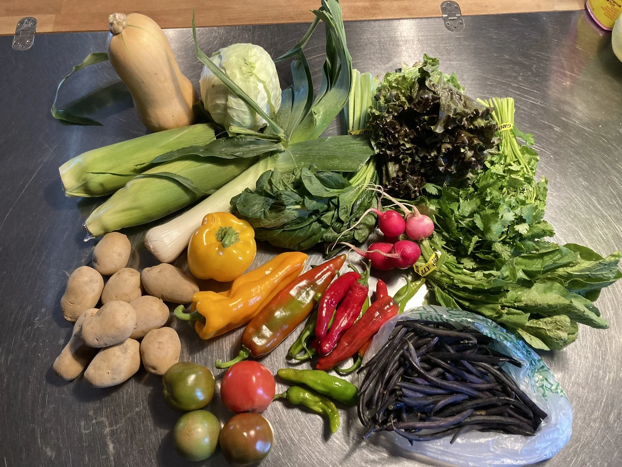 CSA Newark_smallest share_Week 17.JPEG