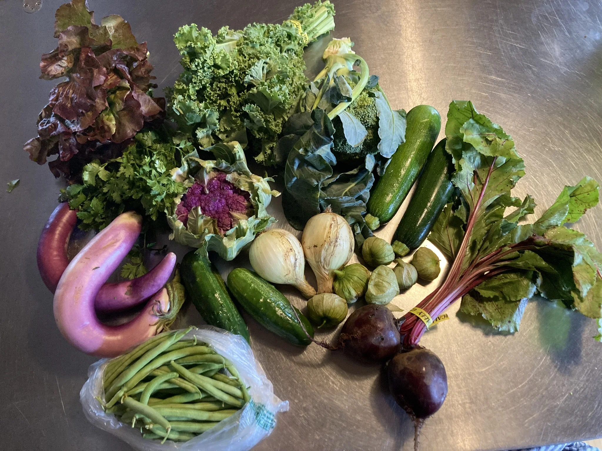 CSA Newark_smallest share_Week 07.JPEG