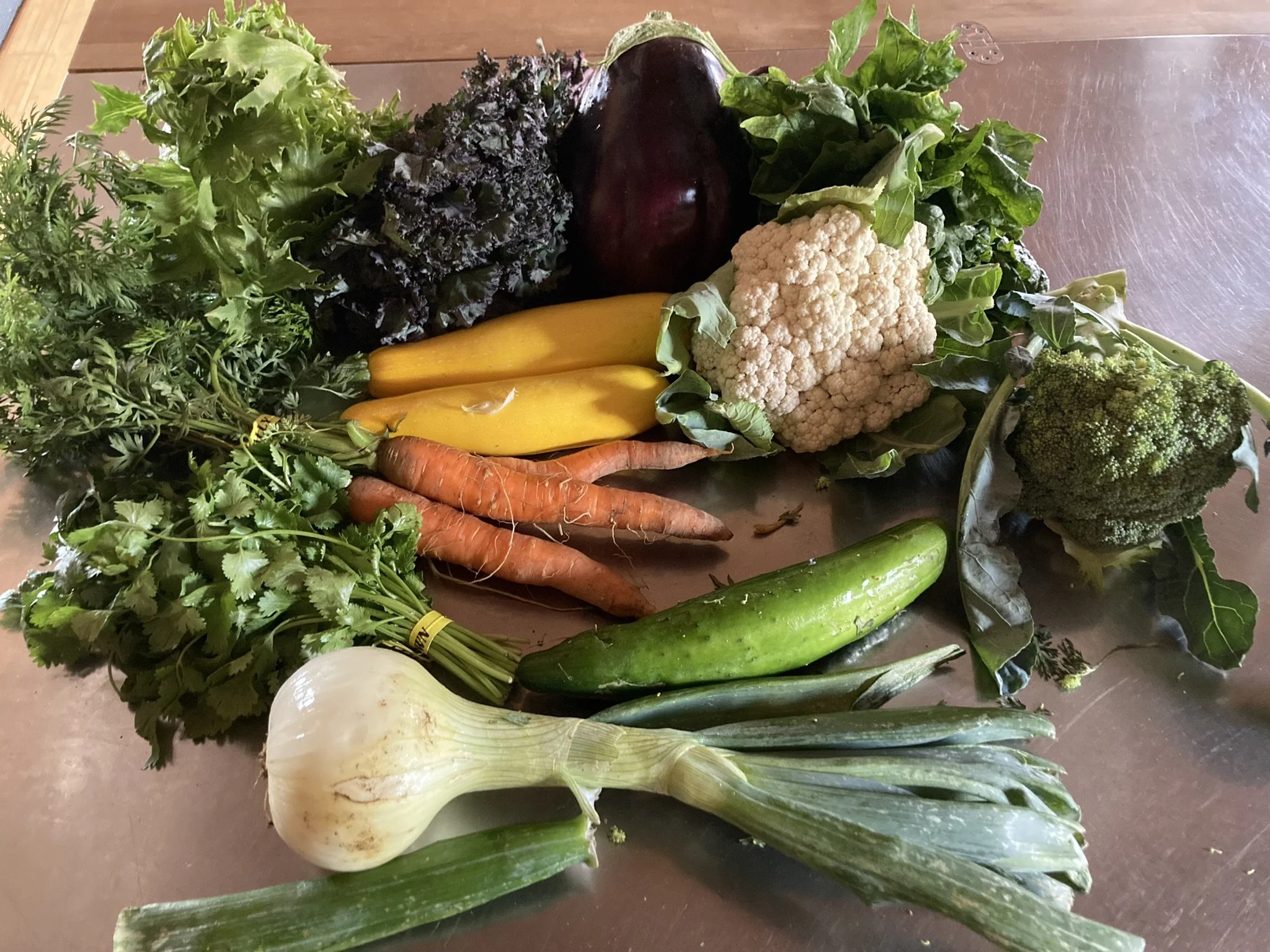 CSA Newark_smallest share_Week 06.JPEG