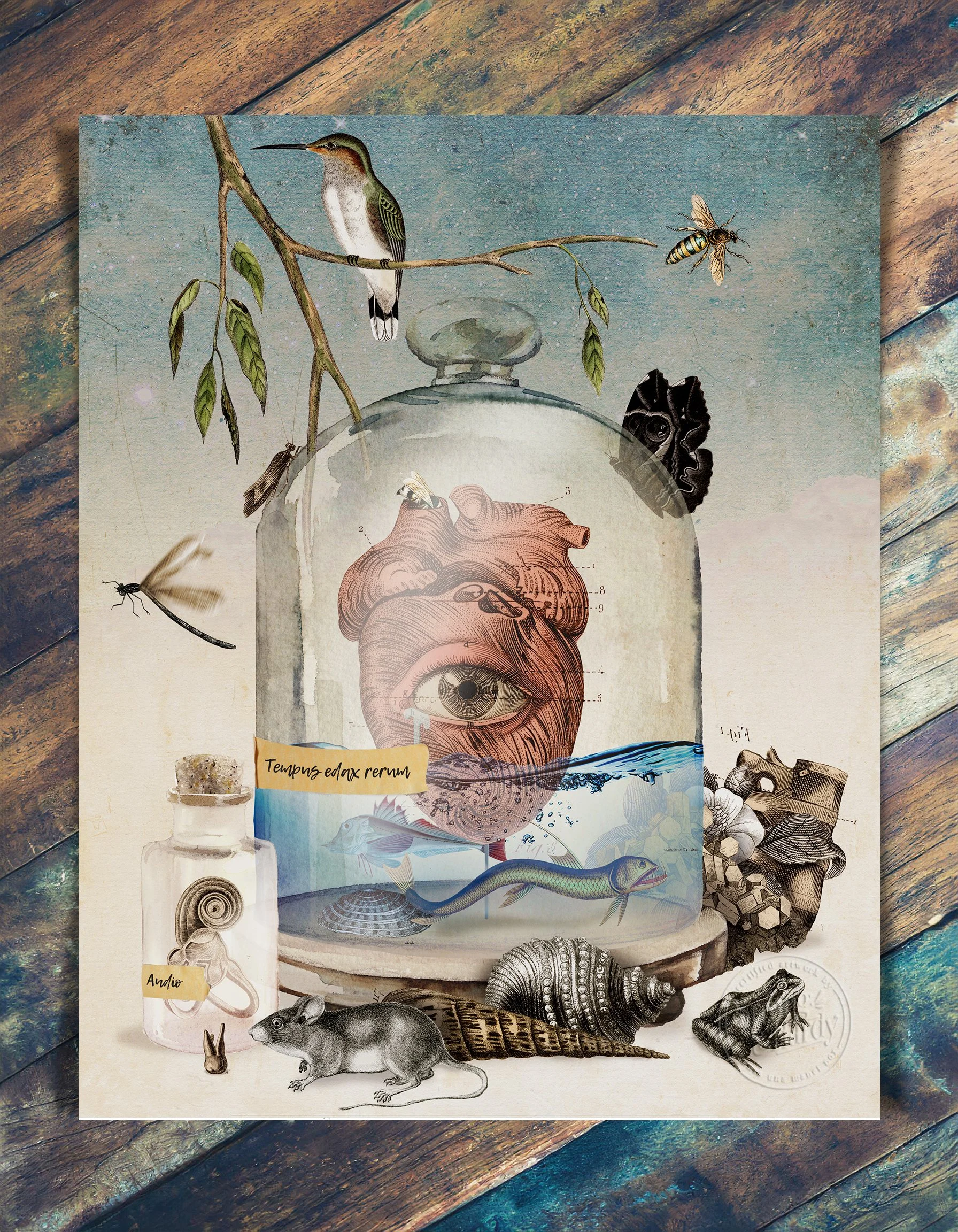 Time is the Devourer of Things
