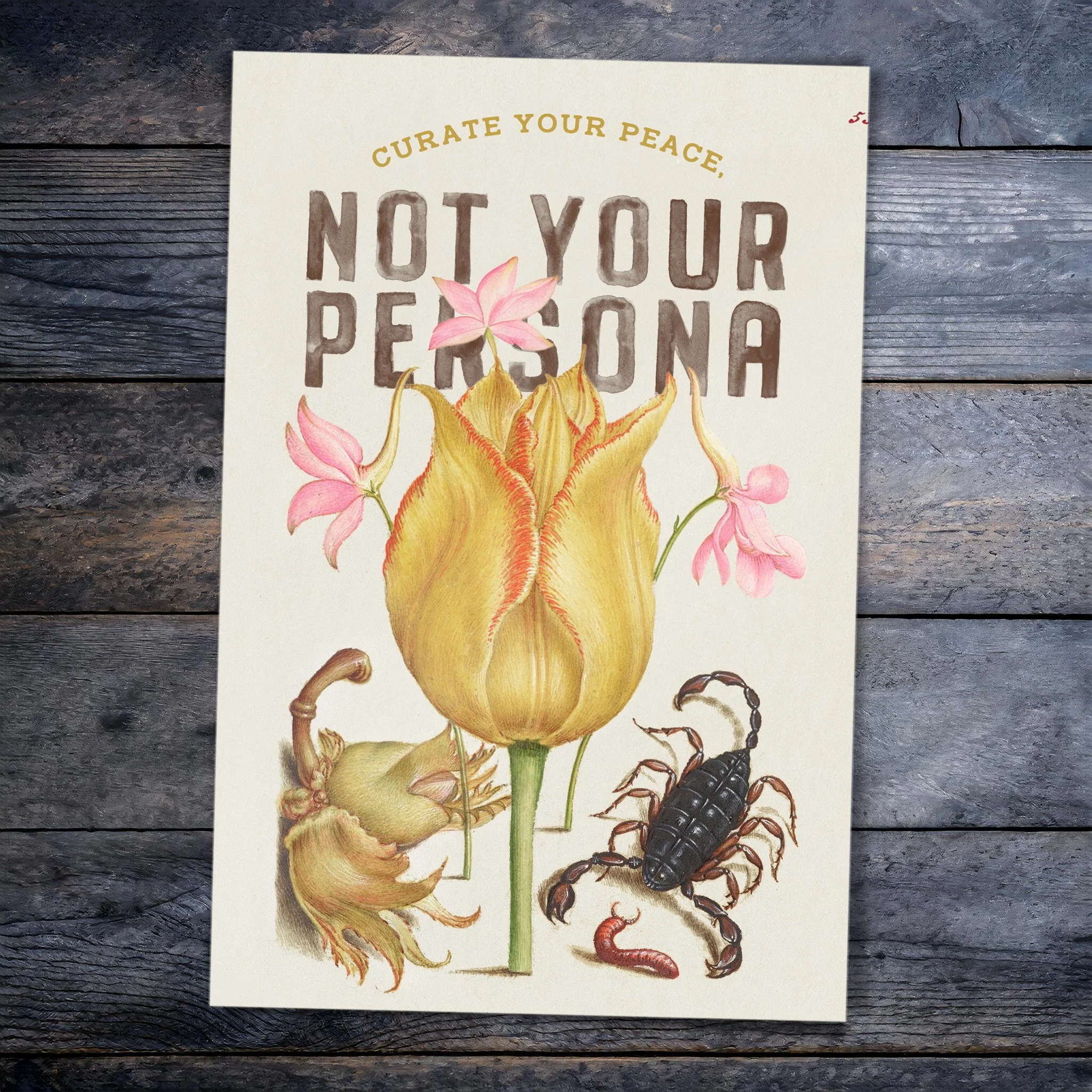 Curate Your Peace, Not Your Persona