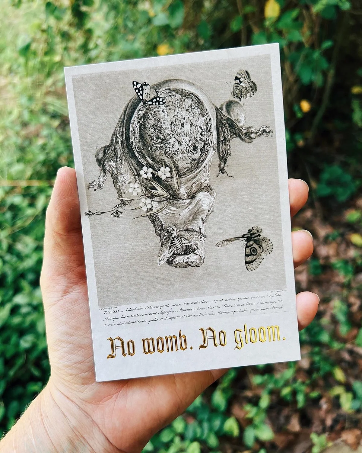 No womb. No gloom.