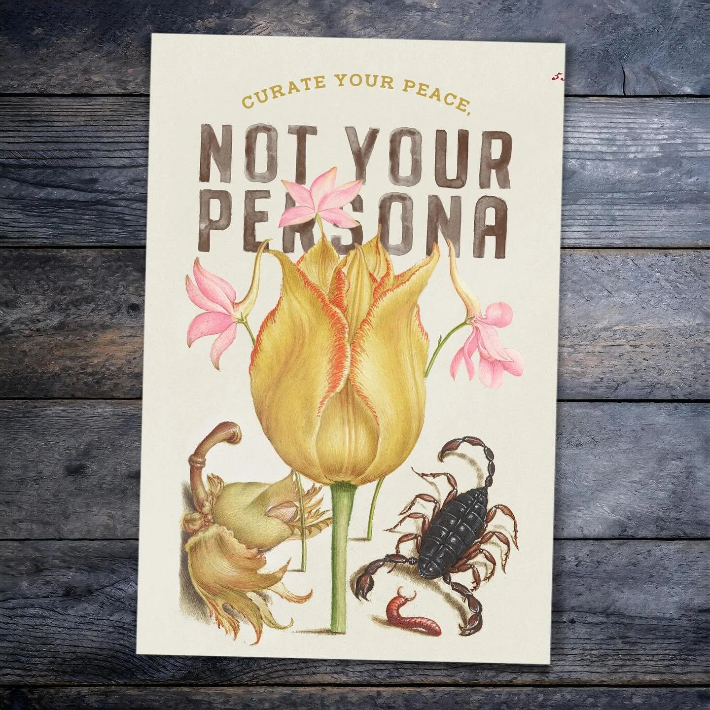 Lessons that usually only come with the passing of time and facing one&rsquo;s mortality. 

Word Salad Affirmation Cards!