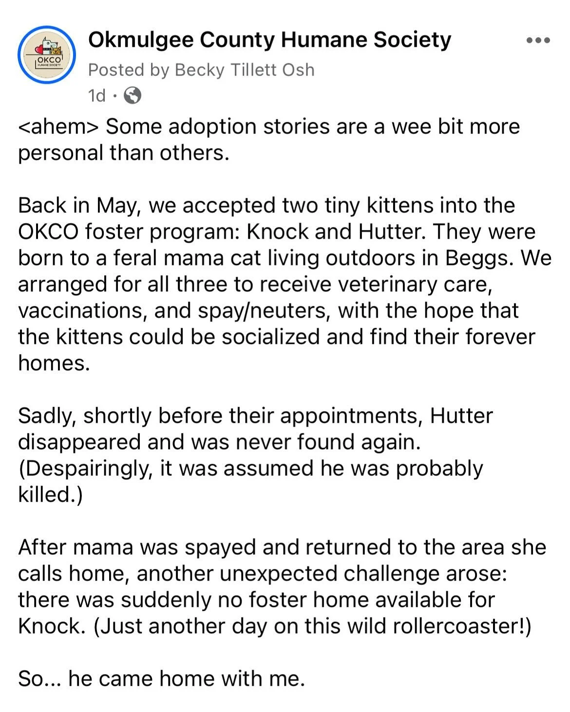 Scroll for an update on my foster kitty post two months ago. I DIDN&rsquo;T STAND A CHANCE, GUYS. But you already knew that, didn&rsquo;t you? 

#fosterkitten #okcohumanesociety #thefutureisrescue