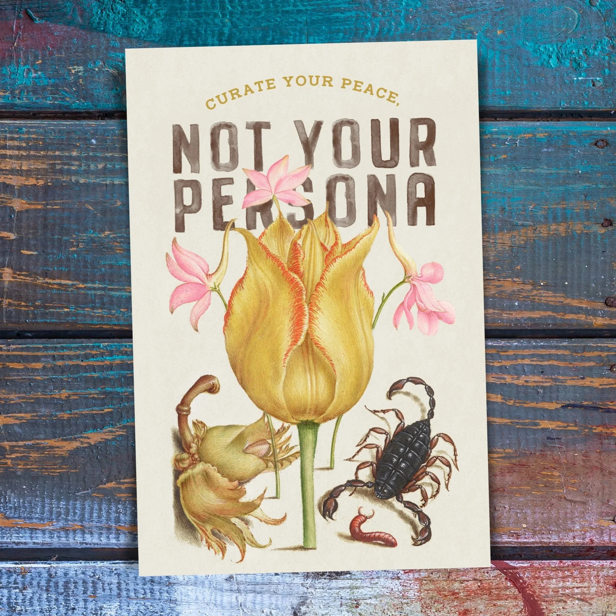 Curate Your Peace Not Your Persona
