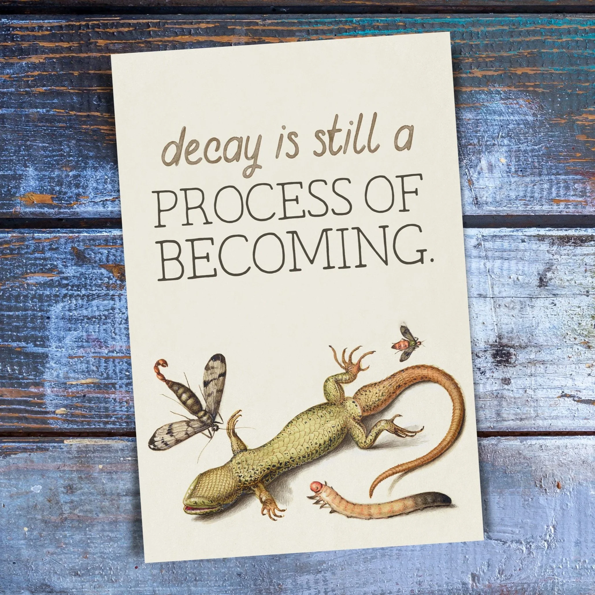 Decay is Still a Process of Becoming