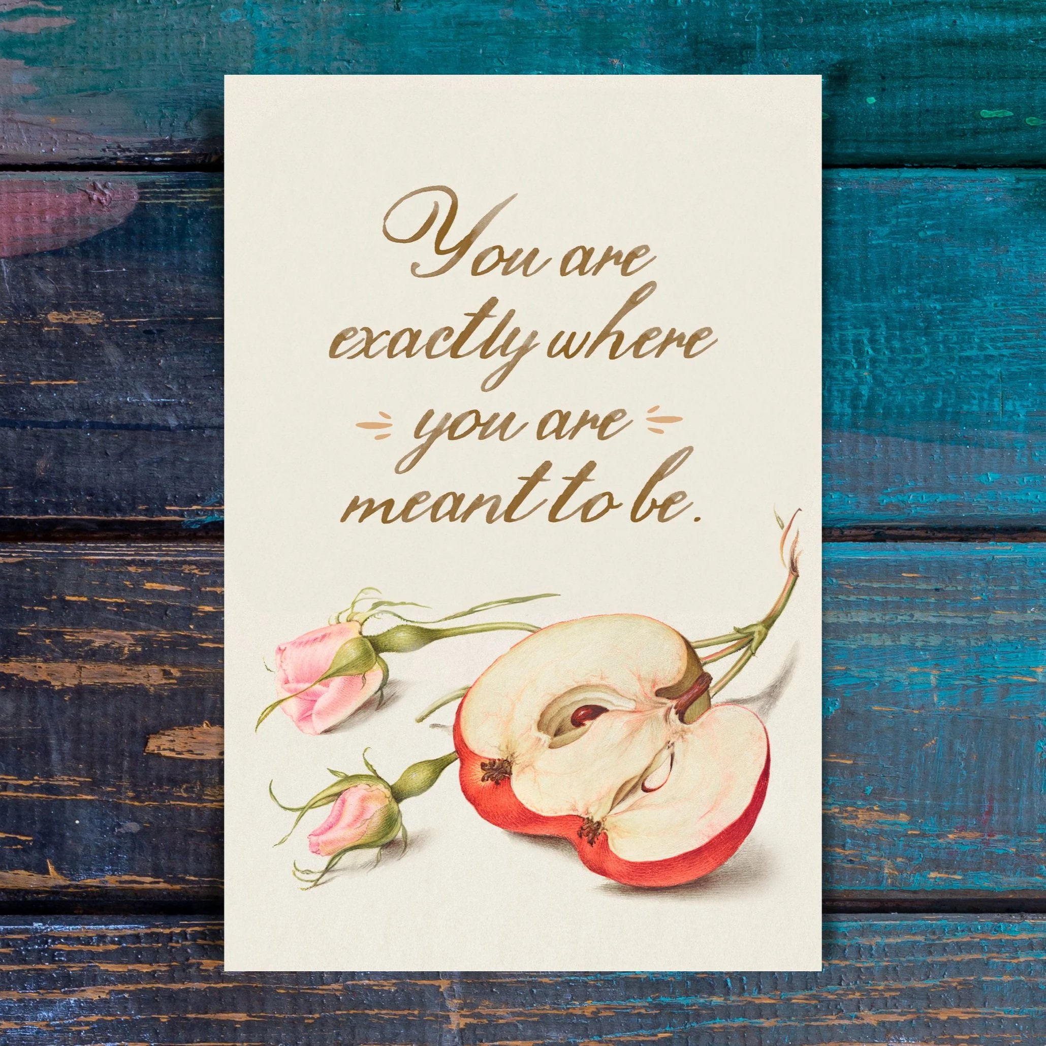 You Are Exactly Where You Are Meant to Be