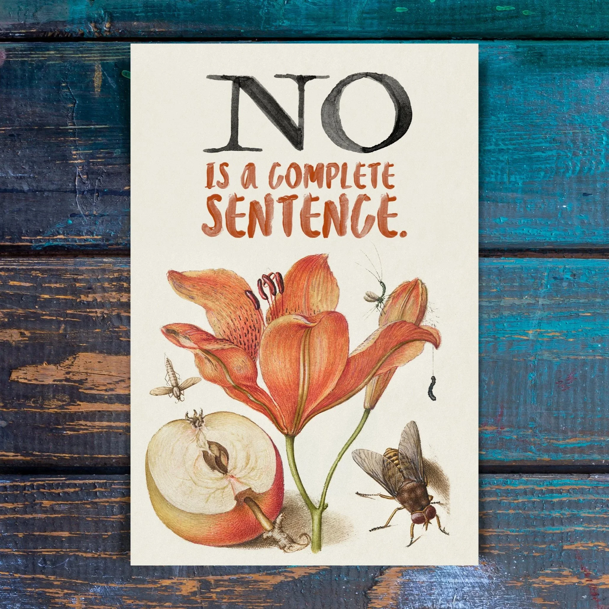 NO is a Complete Sentence