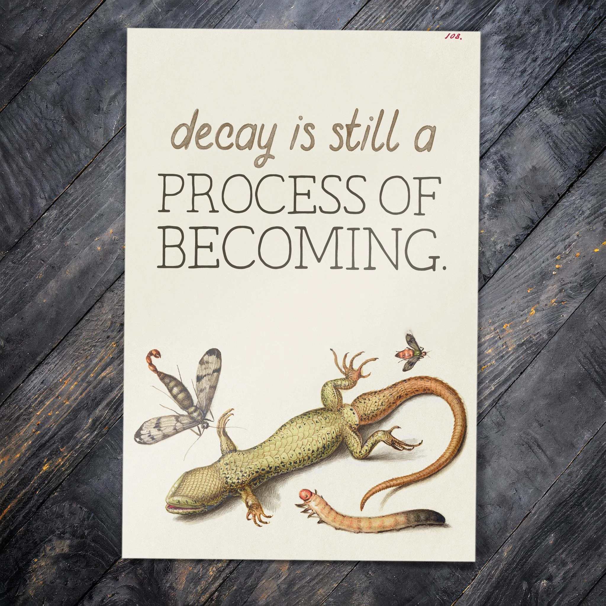 Decay Is Still a Process of Becoming