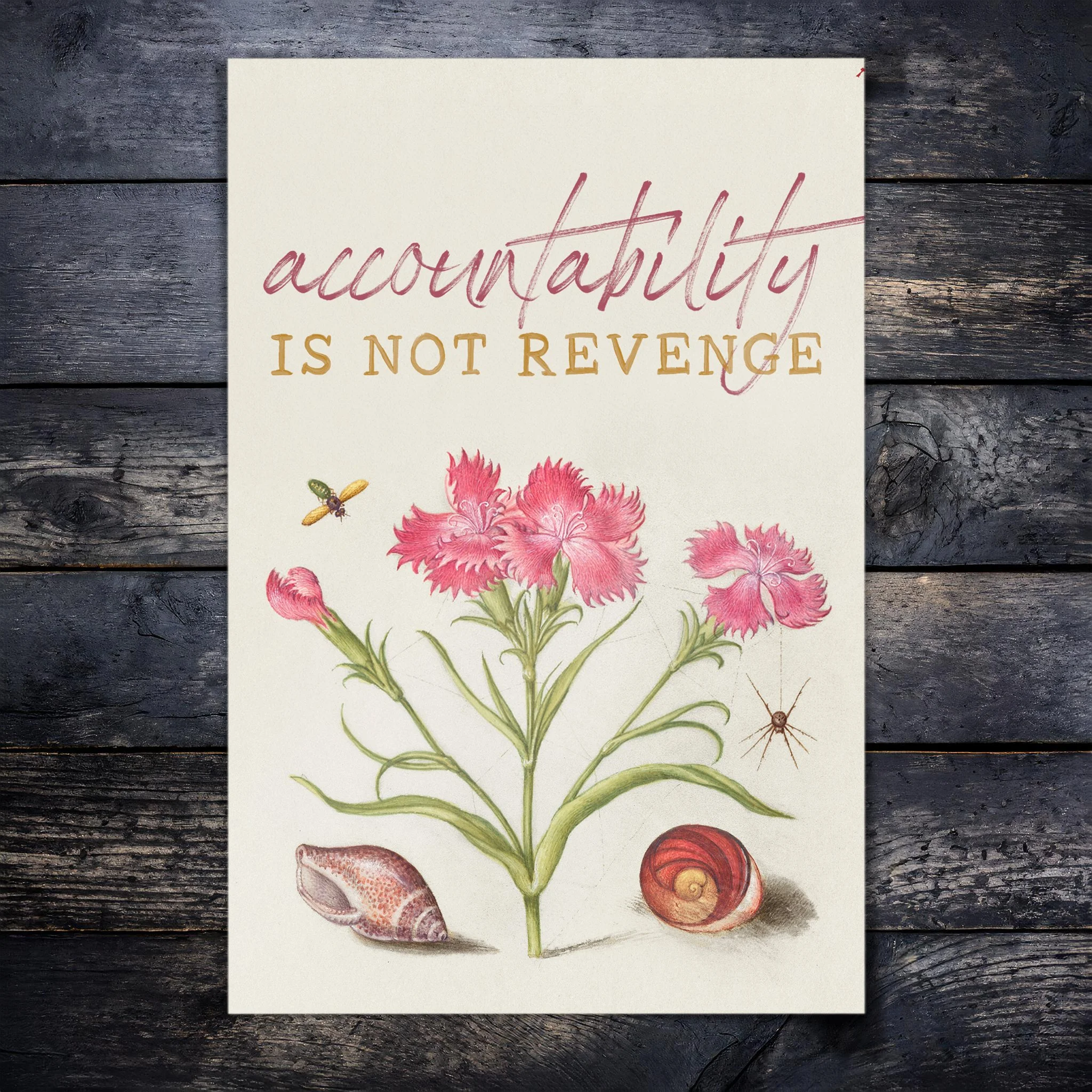 Accountability is Not Revenge