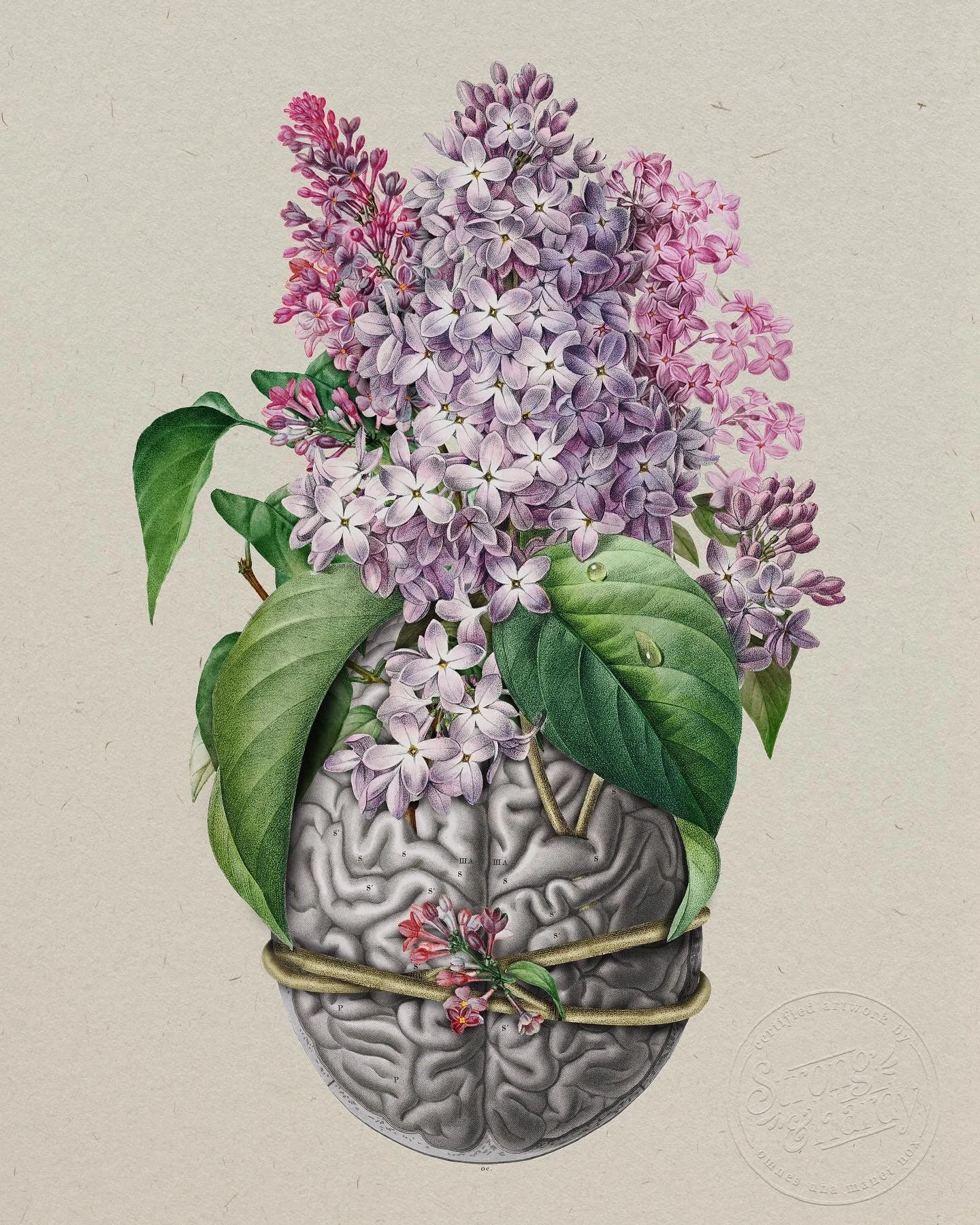 Lilacs and brain cancer
