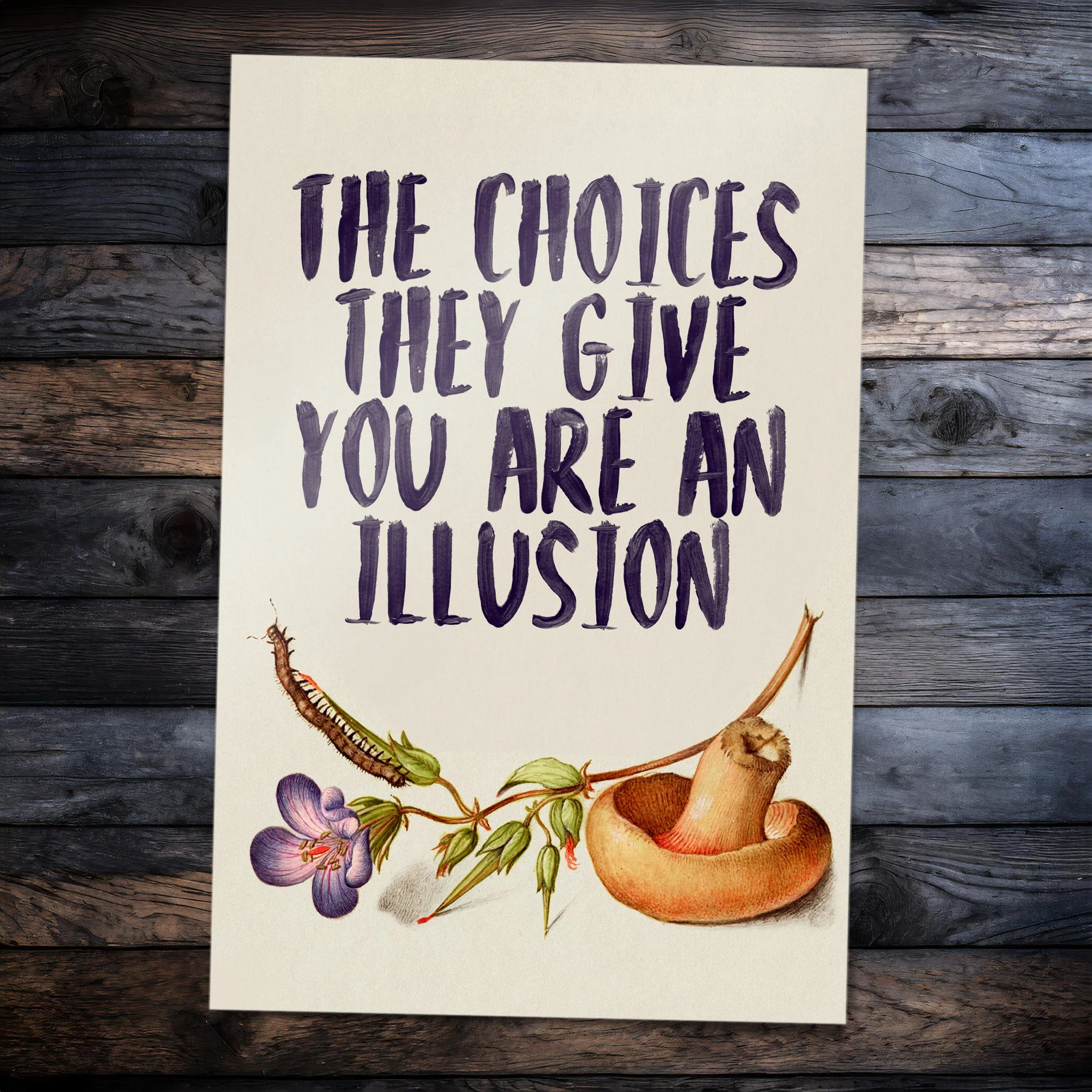 The Choices They Give You Are An Illusion