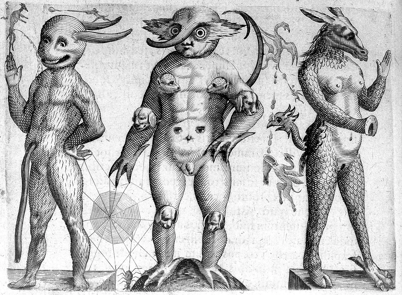 Vaults of the Unhinged: Fortunio Liceti’s Book of Monsters