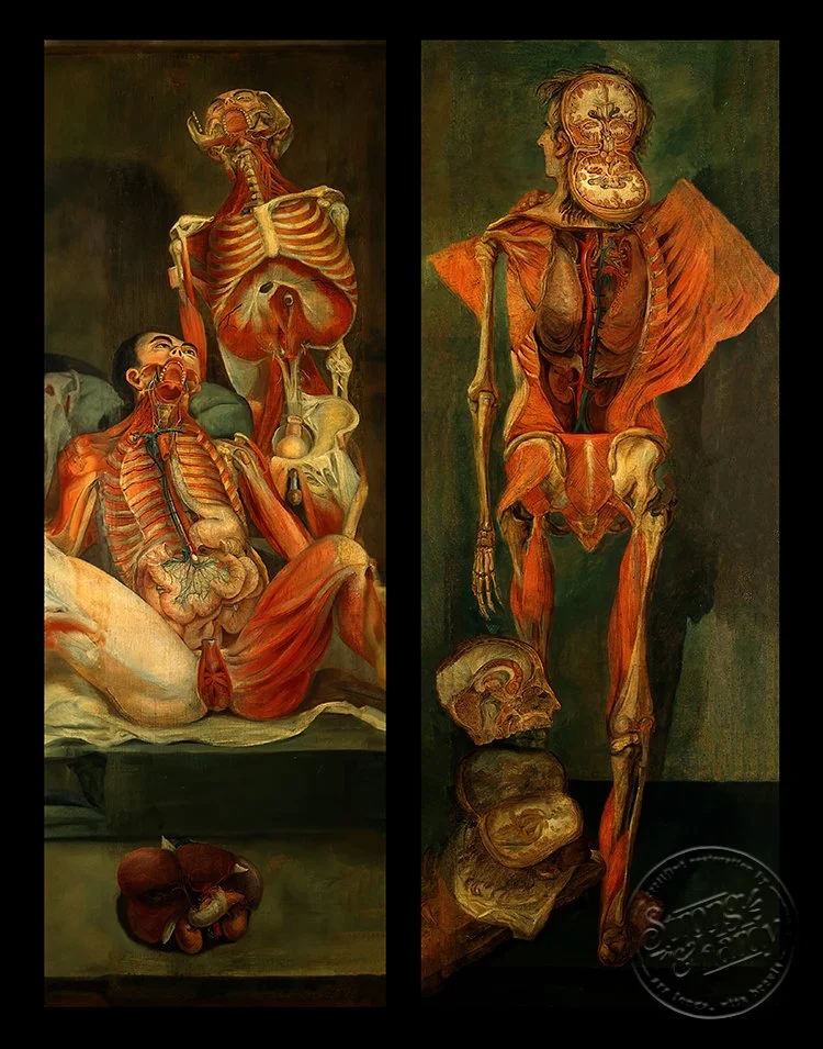 Human_Dissections-Men_Gautier-11x14in.jpg