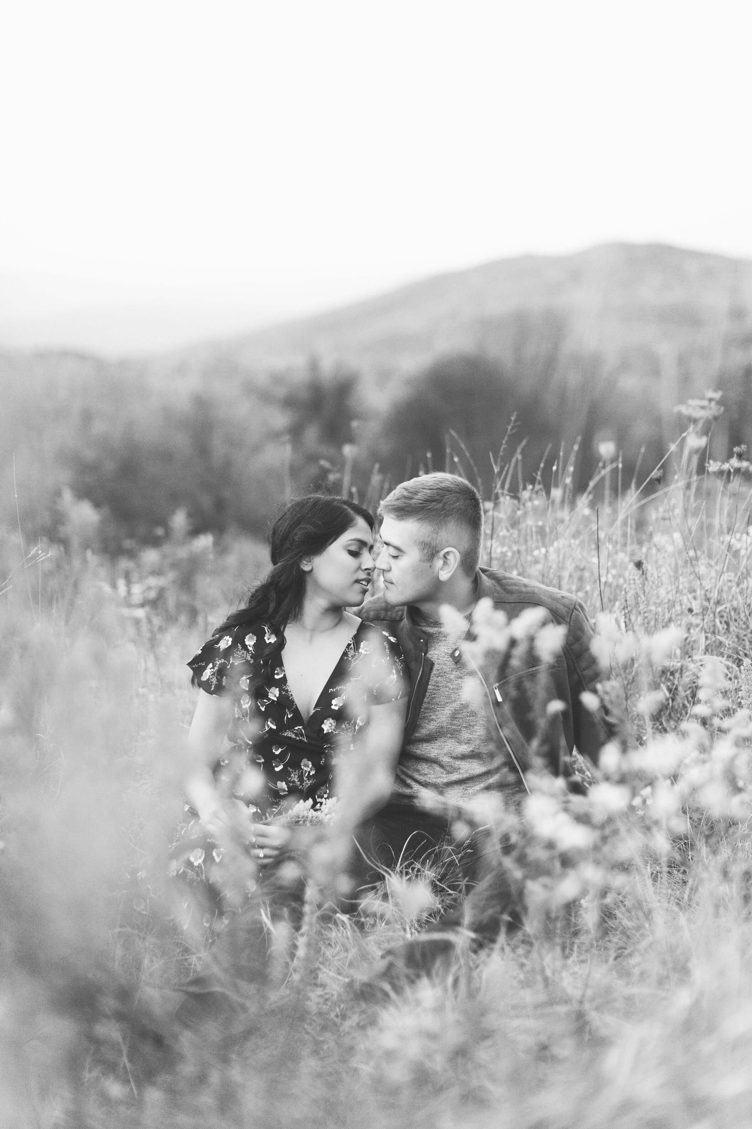 Max Patch Fall Couple Engagement Photos |  Couple sitting in wild flowers black and white image