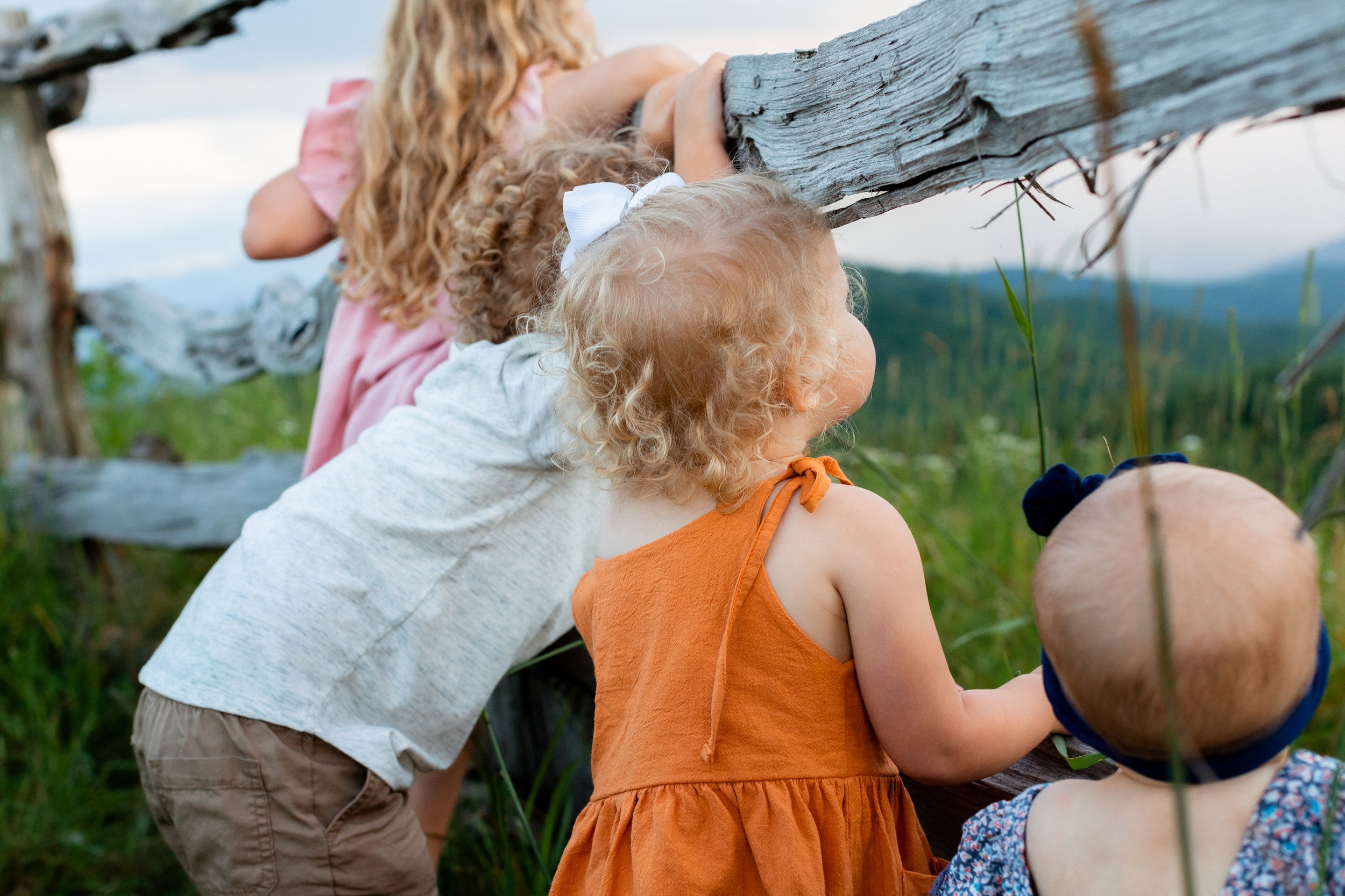 CloseUpCurlsFamilyPhotos.jpg