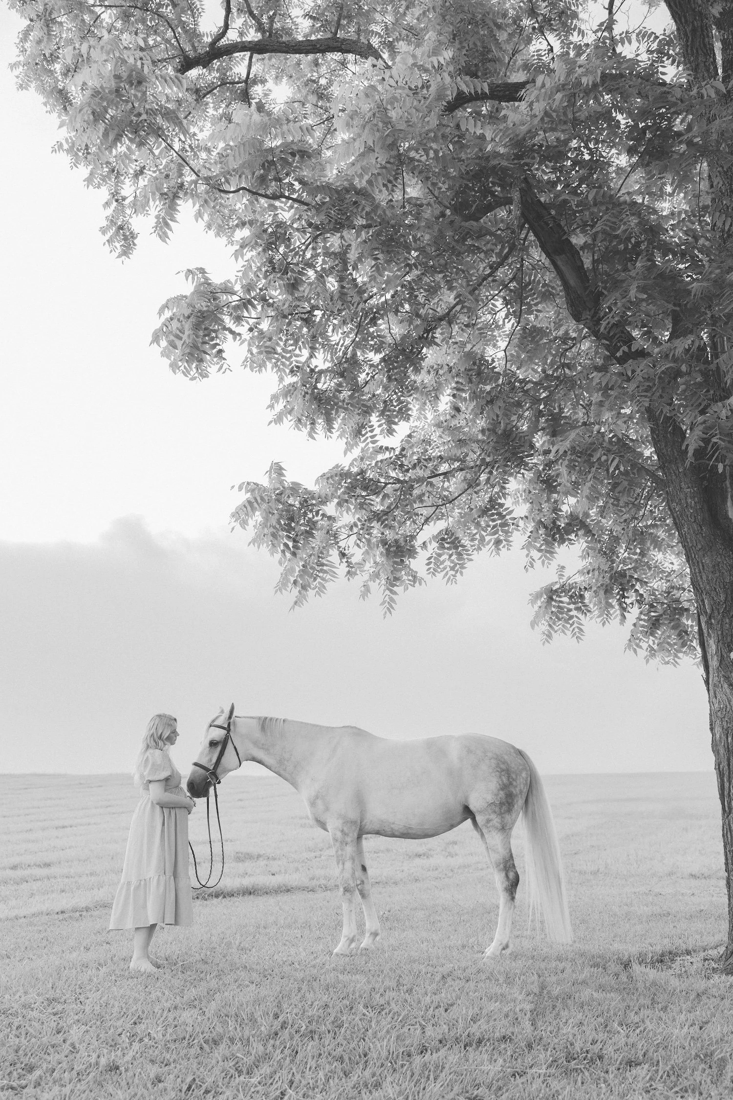 Knoxville Horse Farm Maternity Portaits _SuzyCollins-1024.jpg
