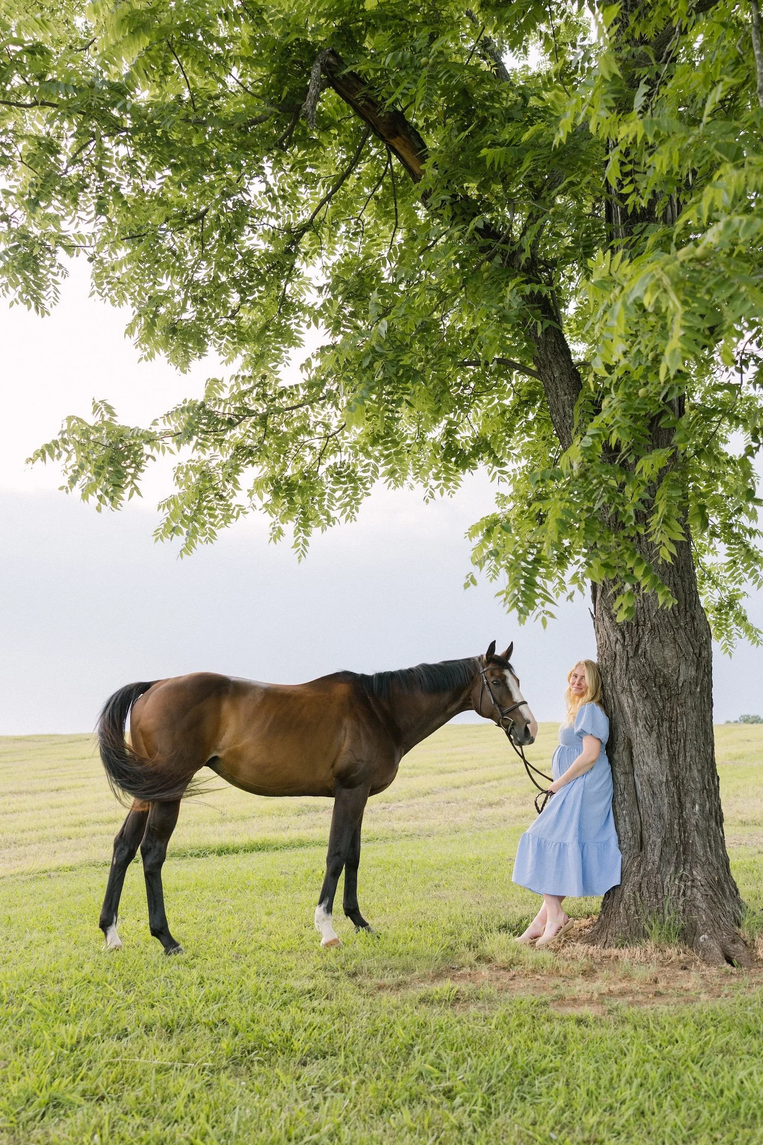 Knoxville Horse Farm Maternity Portaits _SuzyCollins-1047.jpg
