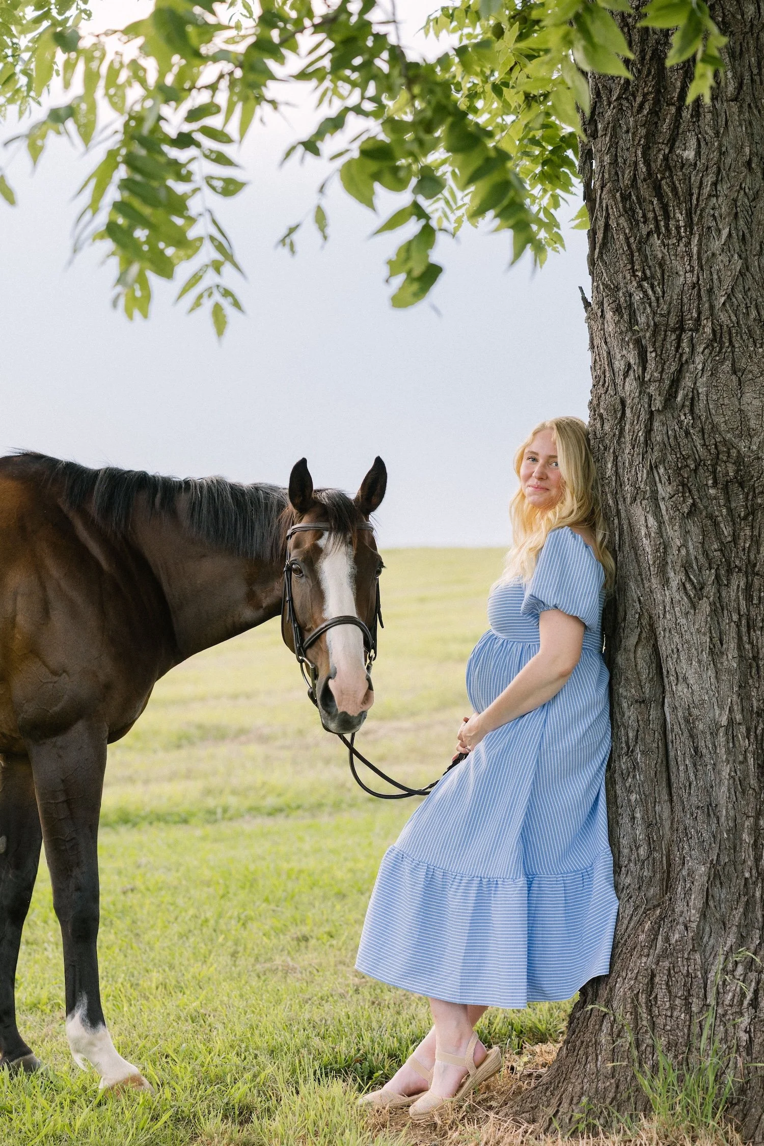 Knoxville Horse Farm Maternity Portaits _SuzyCollins-1051.jpg