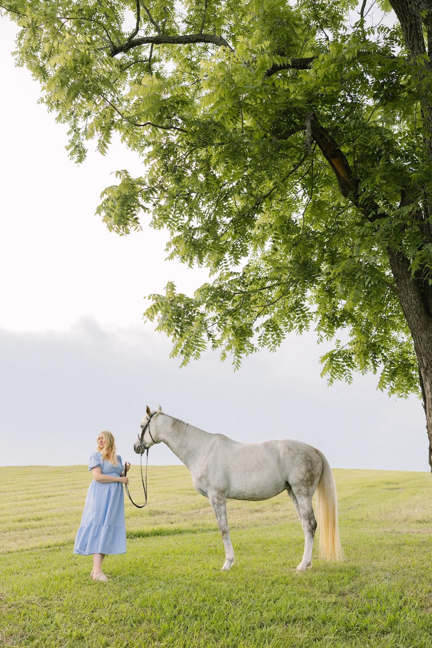 Knoxville Horse Farm Maternity Portaits 