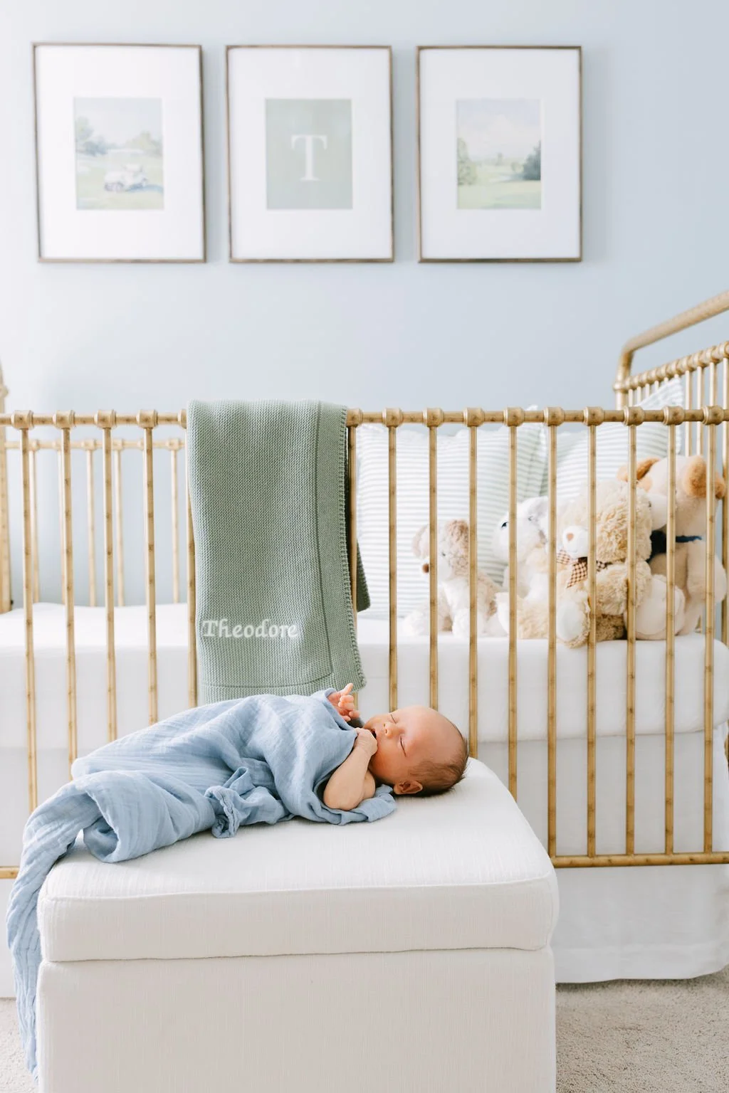 KnoxvilleNewbornFamilyPhotosAtHome_Gillum-1169.jpg