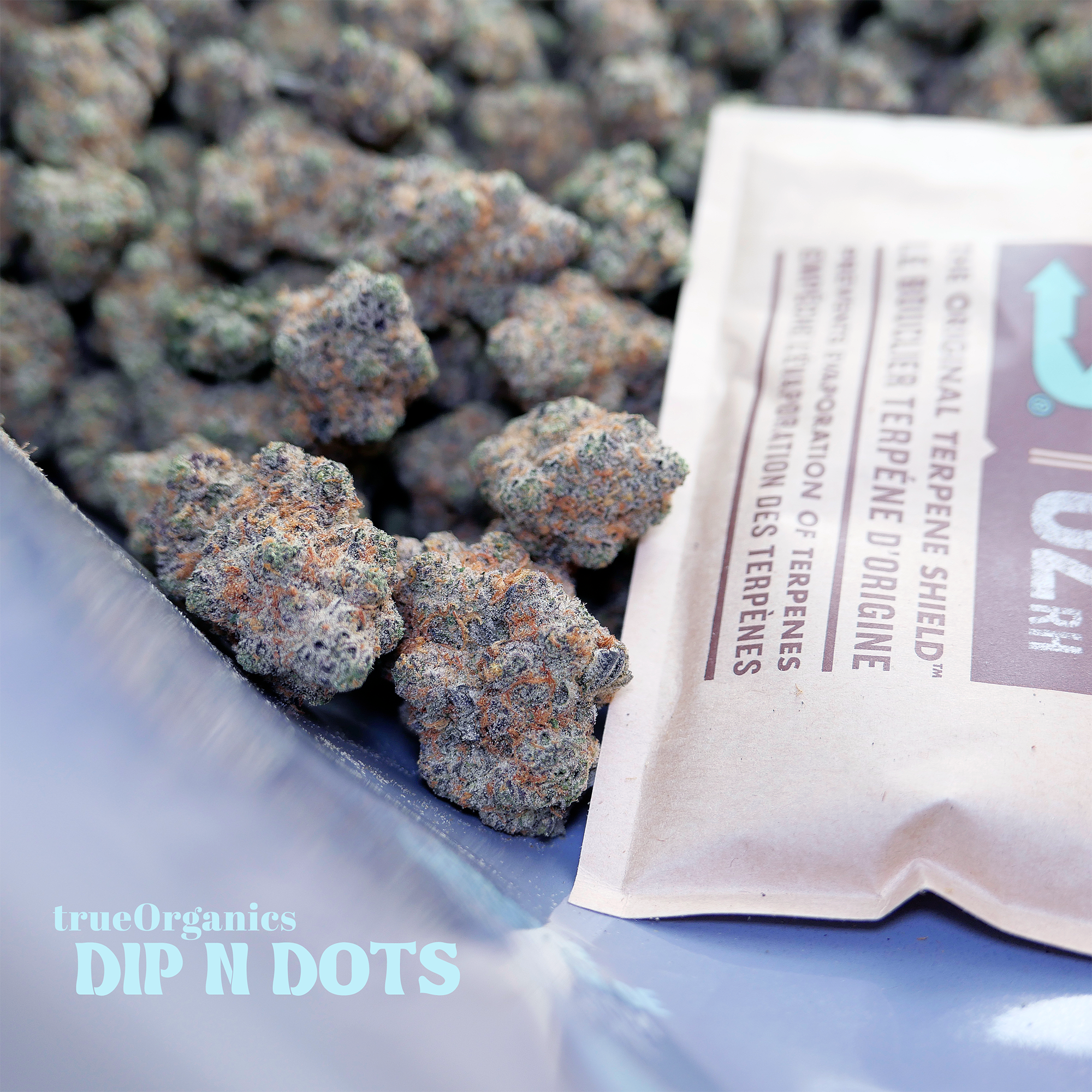 Dip N Dots Buds