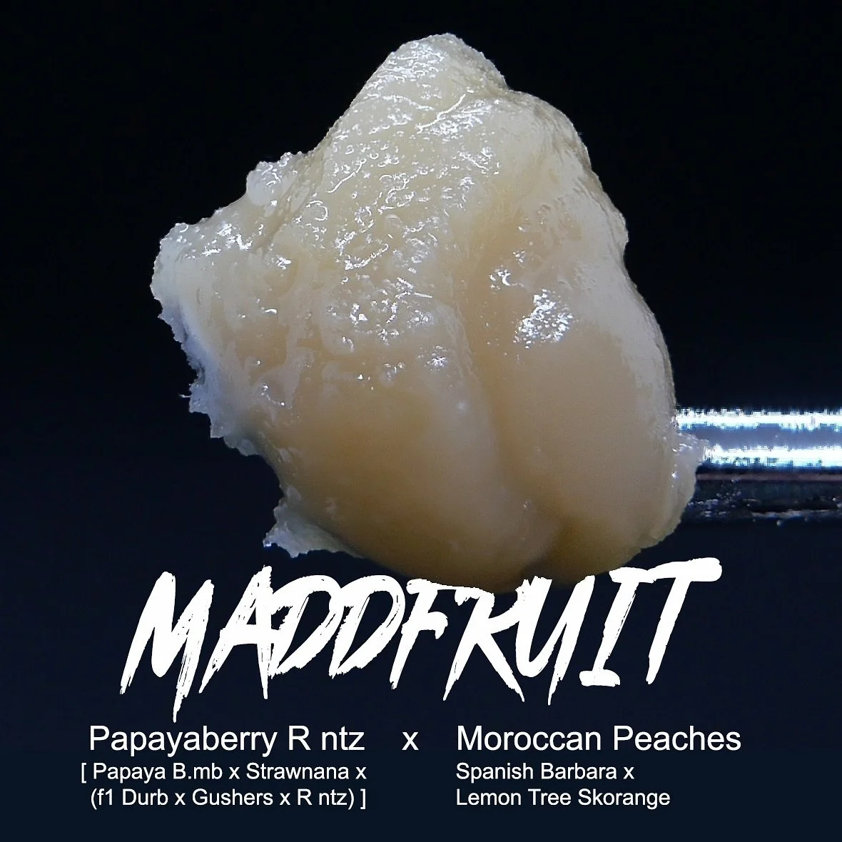 MADDFRUIT. Not actually angry : just massive amounts of fruit. Papayaberry Rv ntz x Moroccan Peaches. Another from the True Organics x @ice.kream.hash collabs featuring the El Krem Collection by the real ones at @realpurplecitygenetics @purplecityeur