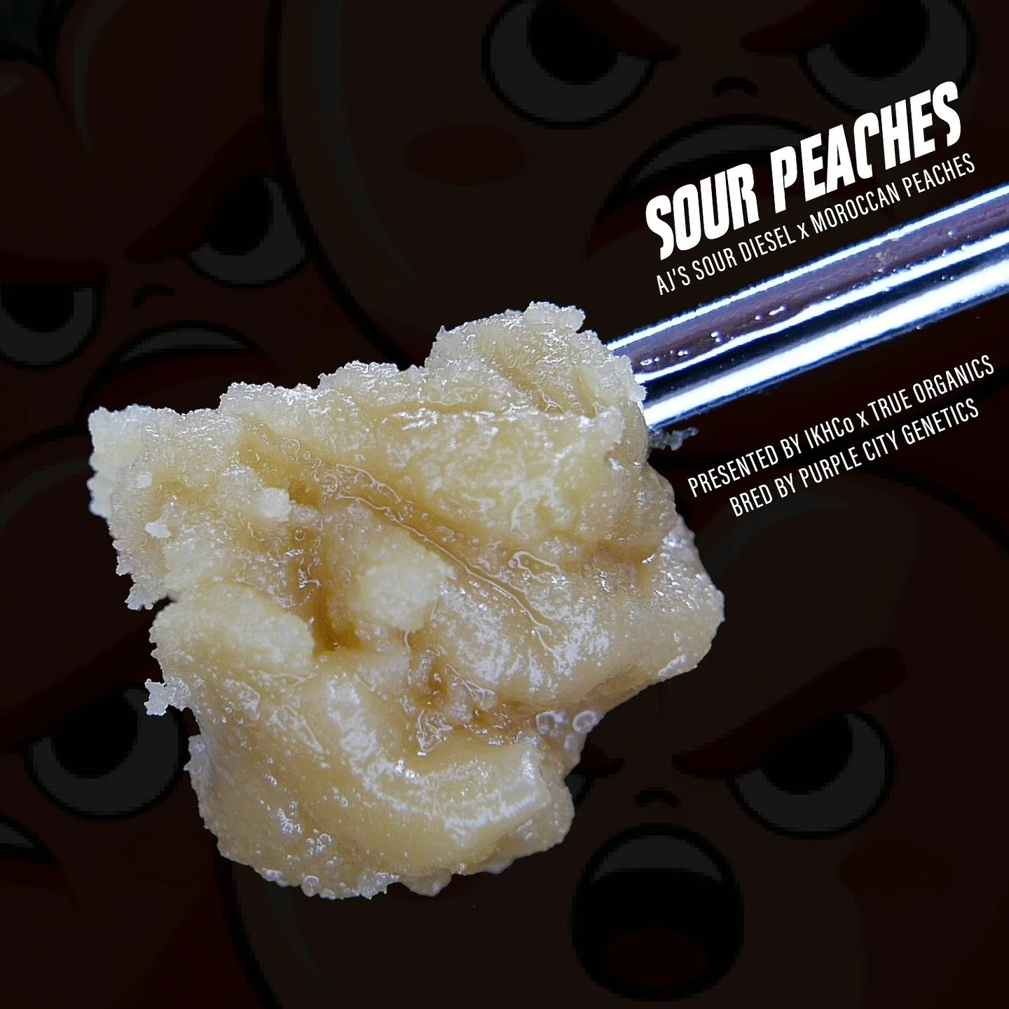 🍑 The scent of peaches filled the grow
🍑 The scent of peaches filled the lab
🍑 The scent of peaches fills the room

Exceptionally loud. 

Sour Peaches = AJ&rsquo;s Sour Diesel x Moroccan Peaches 

Bred by @realpurplecitygenetics &amp; @purplecitye