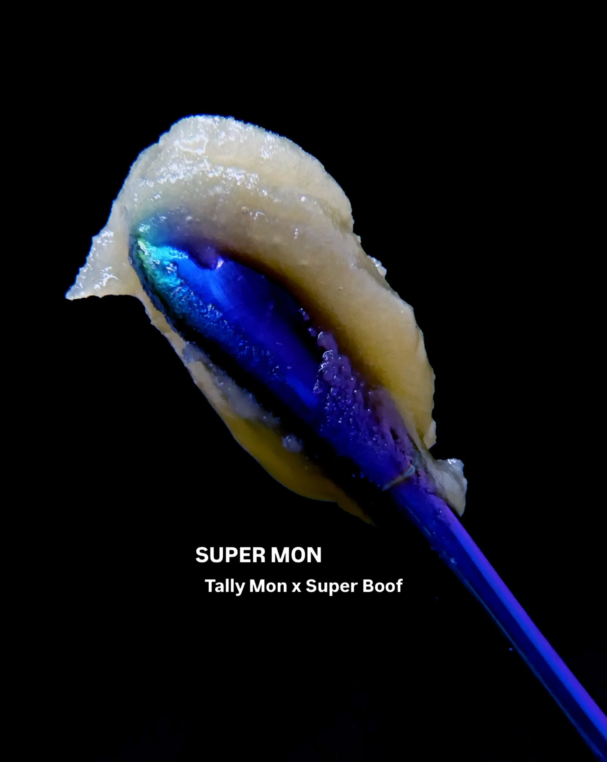 🦹🏾&zwj;♂️ 🇯🇲 SUPER MON. 18 months in the making. A breeding project that was a special request from @ikhco__mi . 

It feels so good to be here after all the hunting, testing, and non-production R&amp;D runs of Super Mon. And to have a team like I