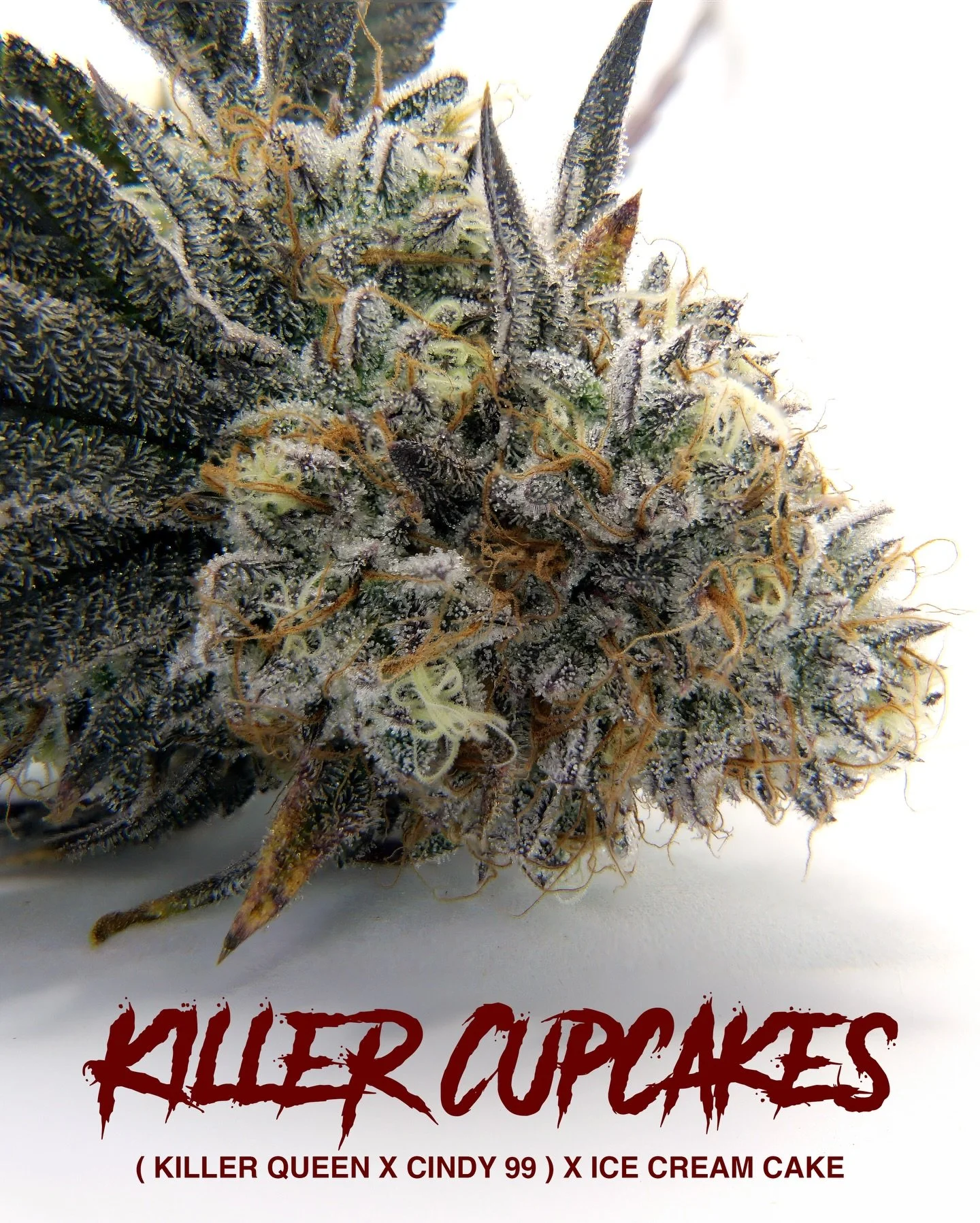 🔫🧁 In case ya missed it the first time&hellip; KILLER CUPCAKES with Ice Kream H*sh Co imminent

Dab 📷 : @sunshine___luna ✨