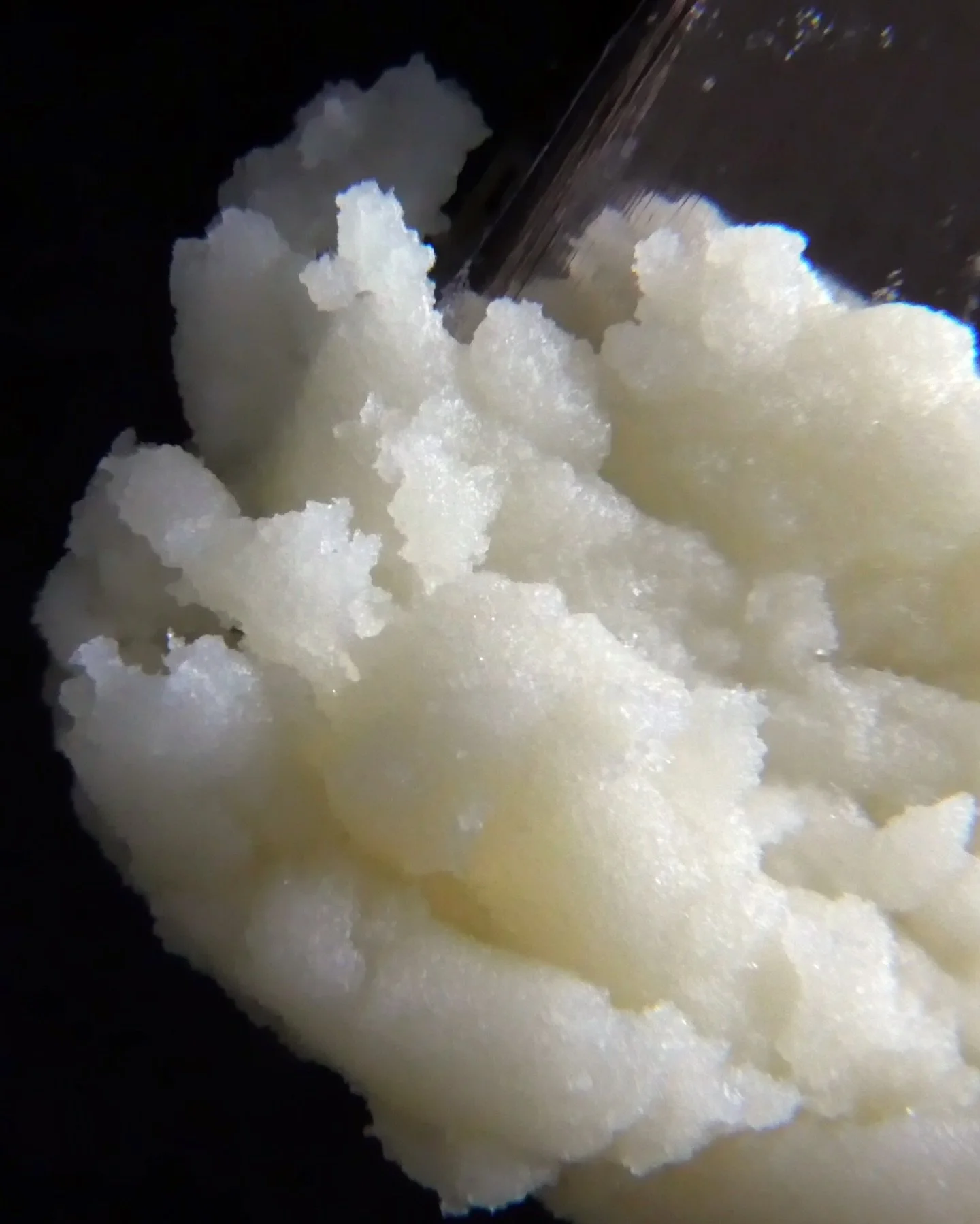 Papaya Juice : A first rea|ease from the latest Ice Kream H*sh Co x @trueorganicsmi collabs.

Featuring Papaya x GMO, this one leans heavy on the GMO side - pungent garlic, mushroom, onion cut with a feathery touch of papaya&rsquo;s cool sweetness.

